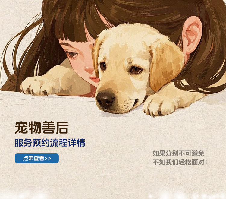 宠摆渡