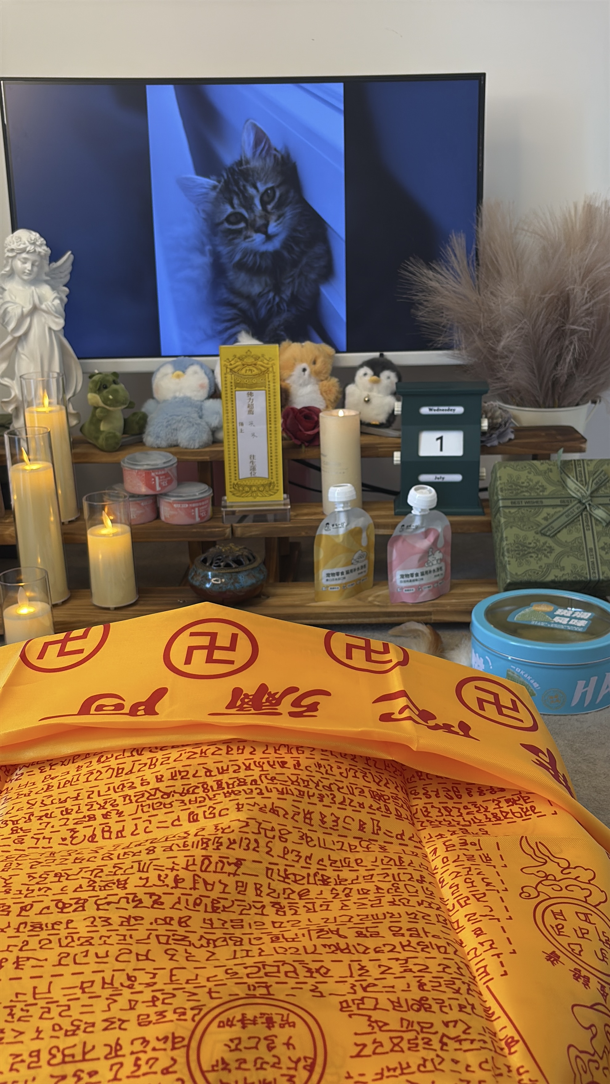 宠物死亡处理方法有哪些