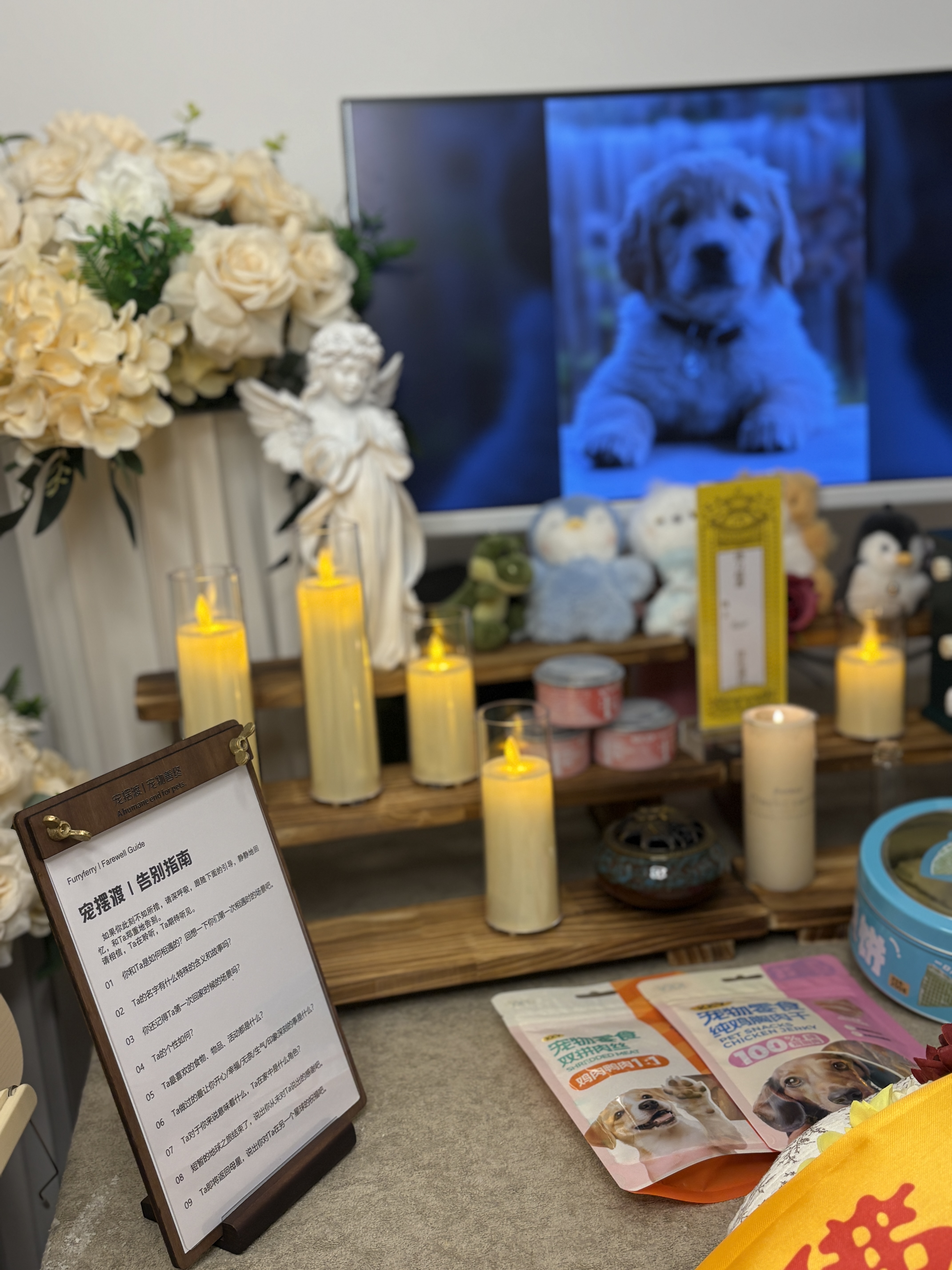 宠物死亡哪里处理配图