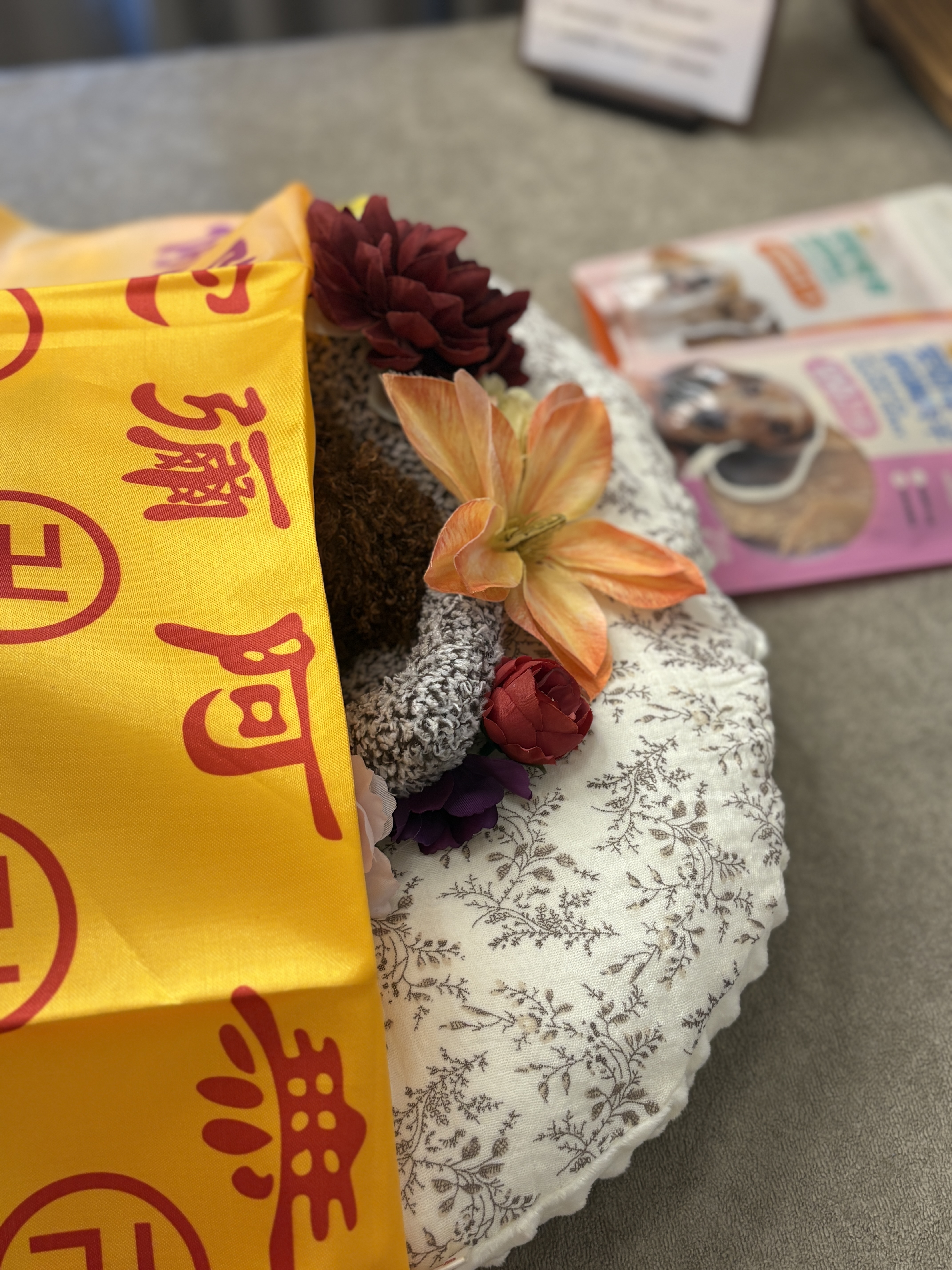 狗狗死了找谁处理
