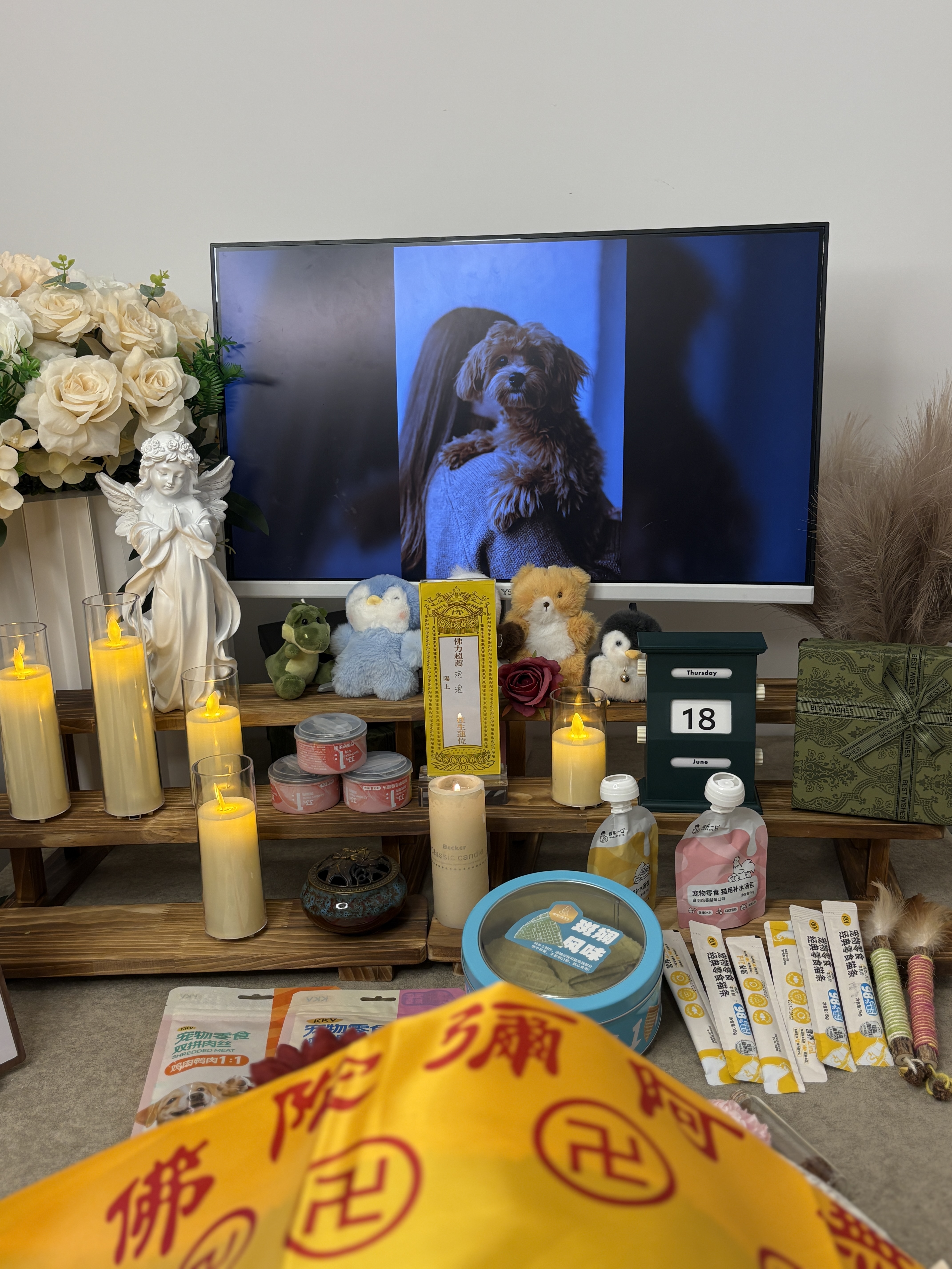 宠物火化后骨灰怎么办
