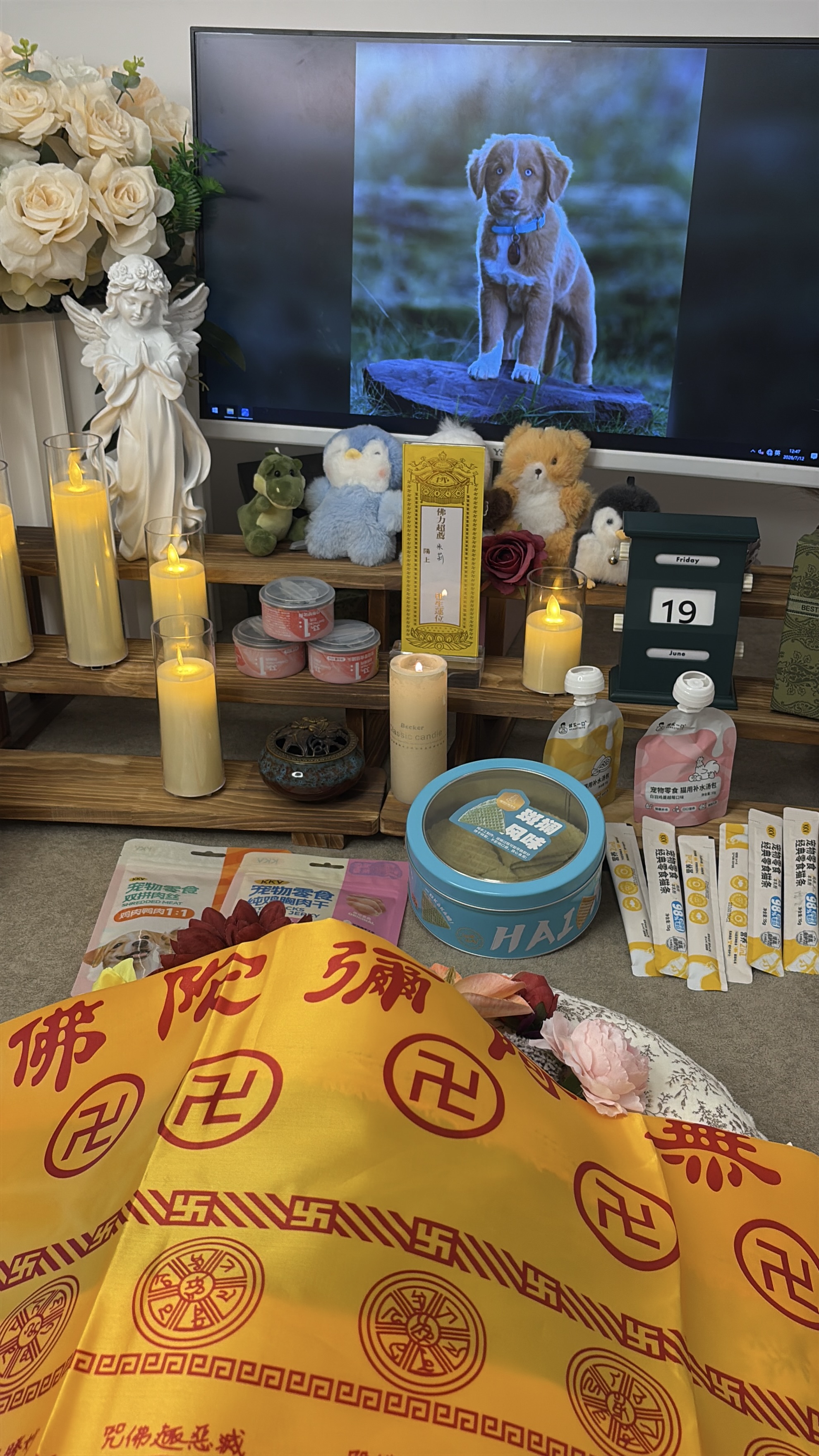宠物骨灰可以保存多久
