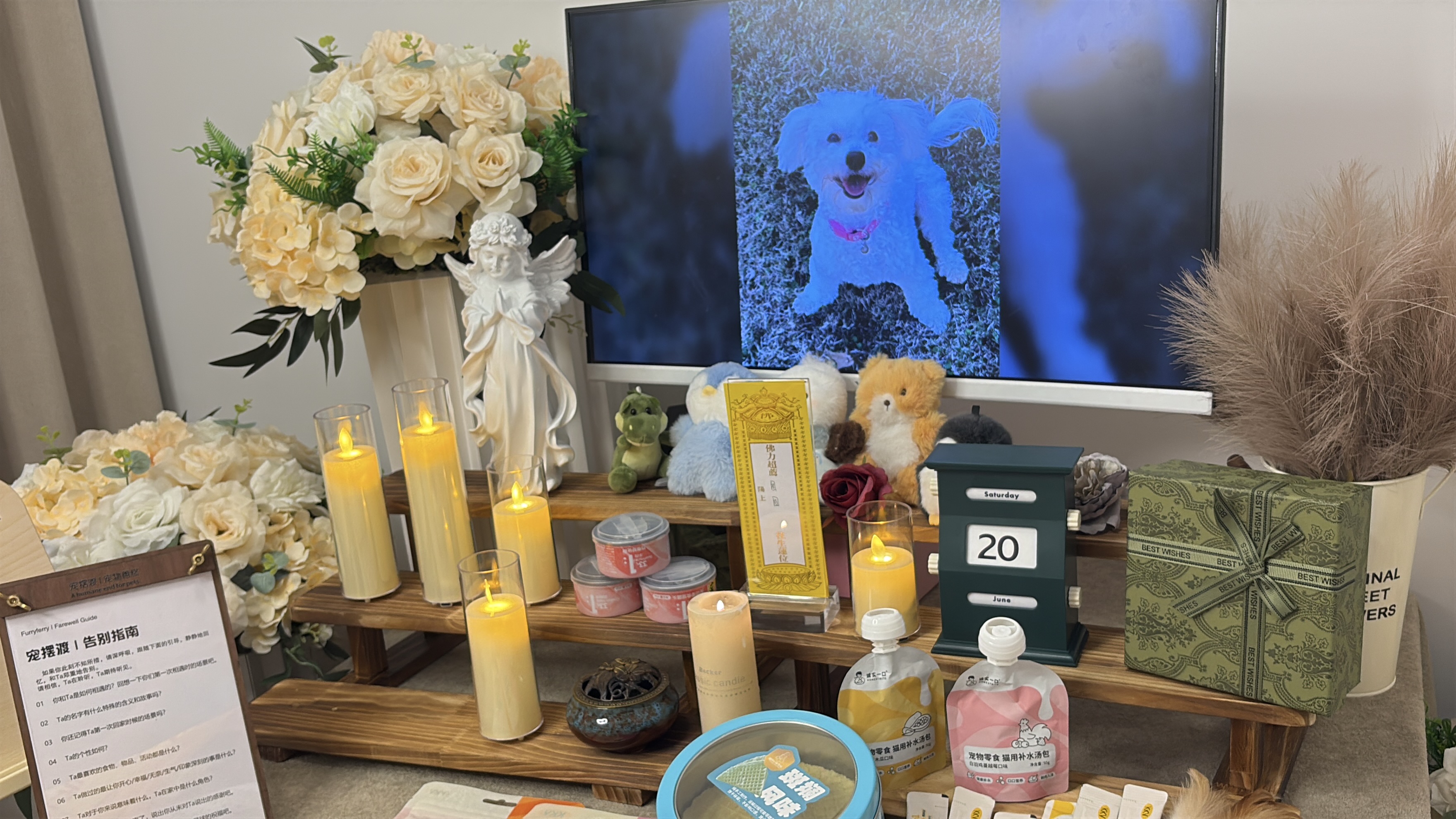 宠物骨灰可以保存多久配图