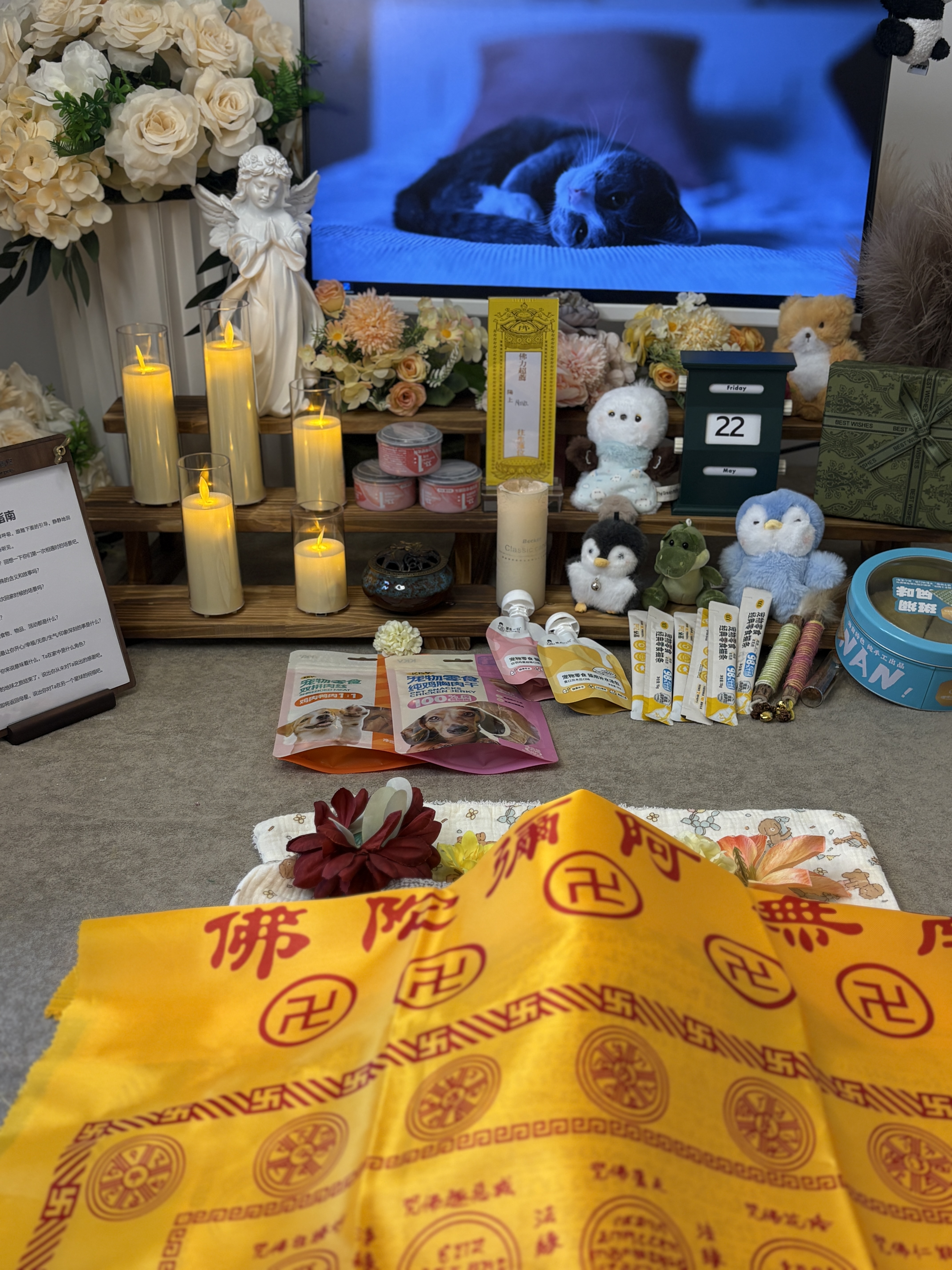 宠物火化可以陪同吗