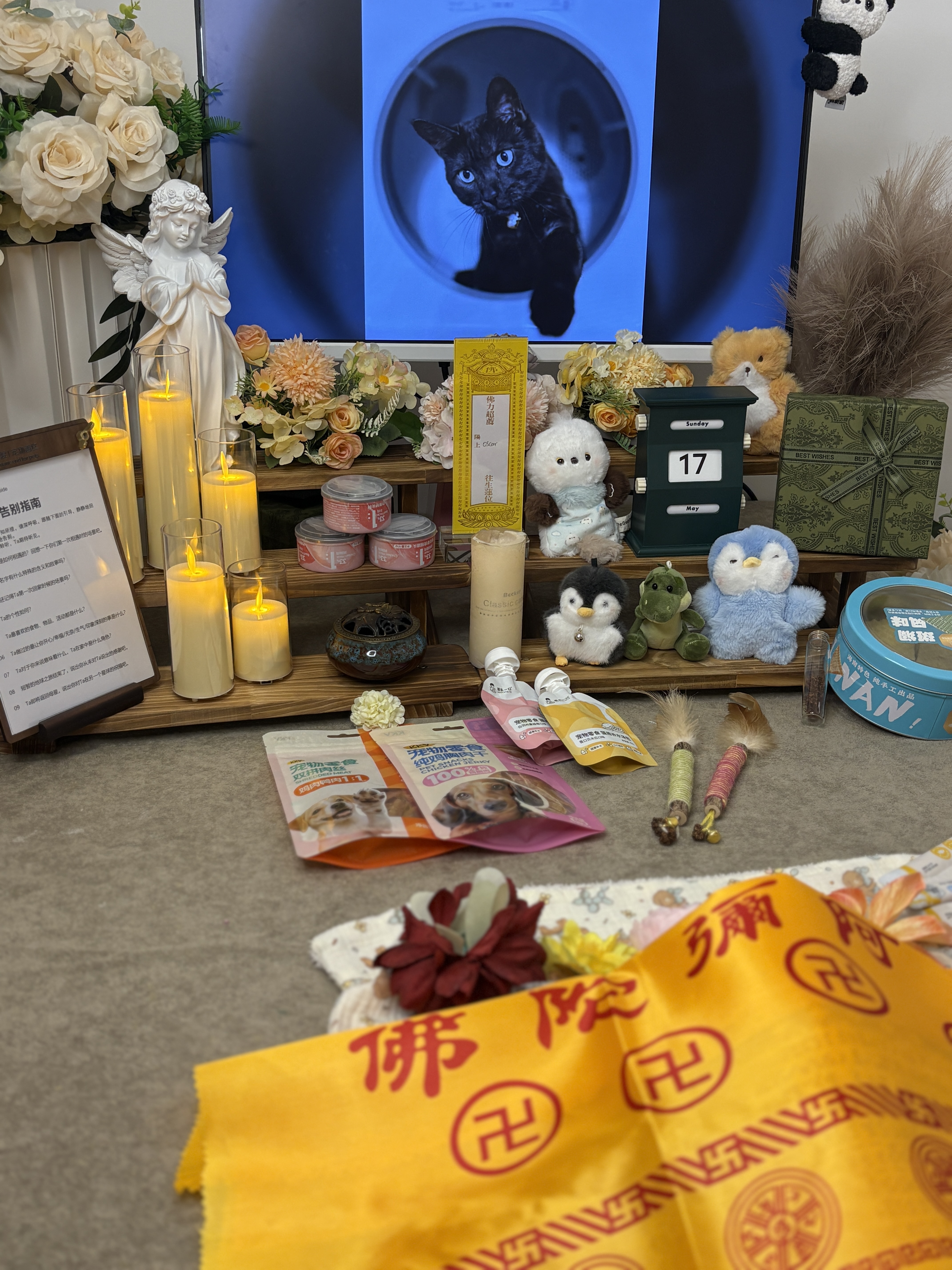 宠物毛发纪念