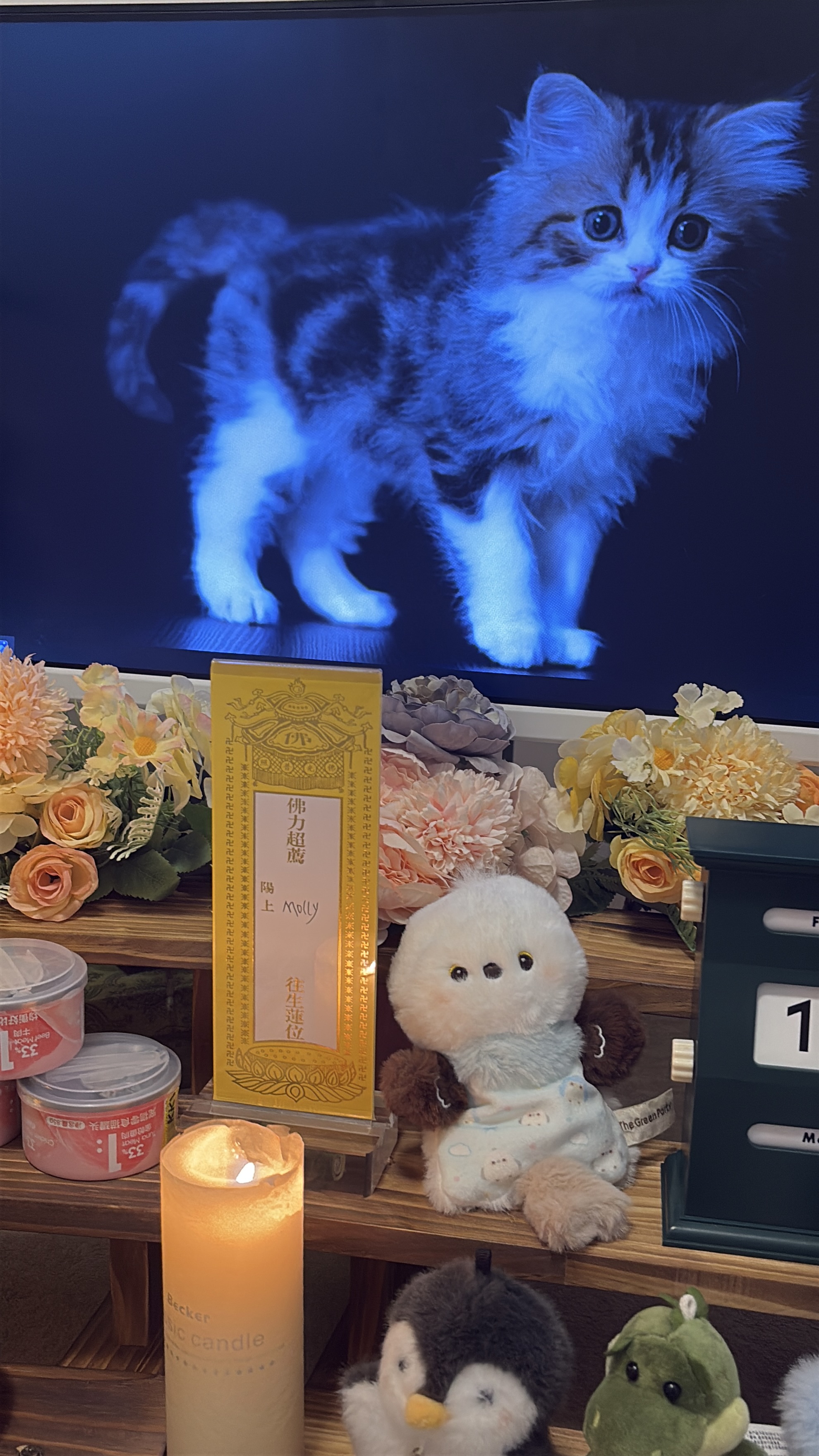 AI帮我纪念去世宠物配图
