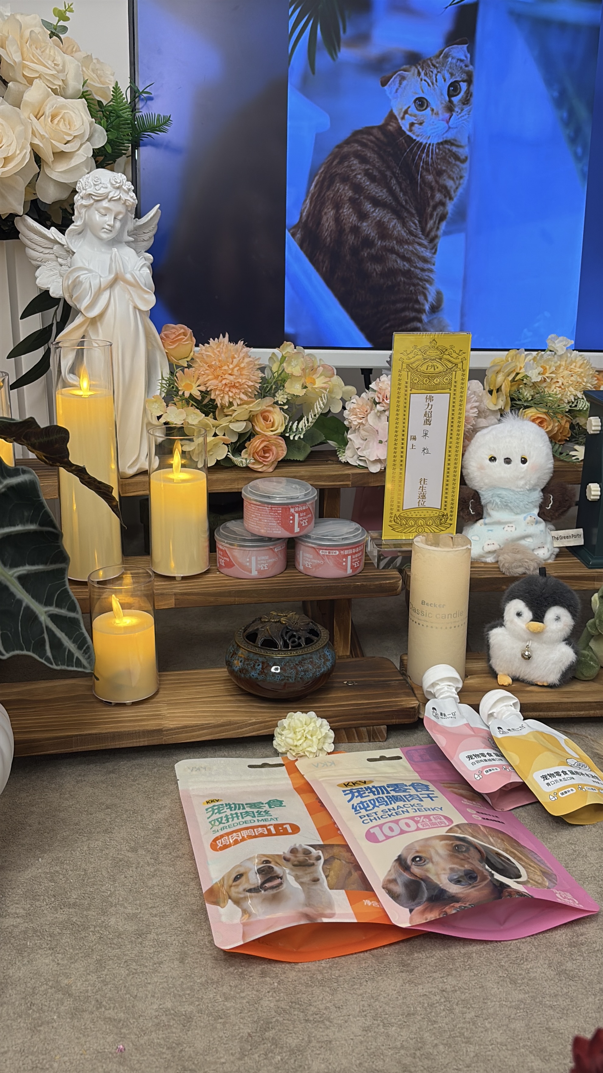 宠物死亡24小时处理