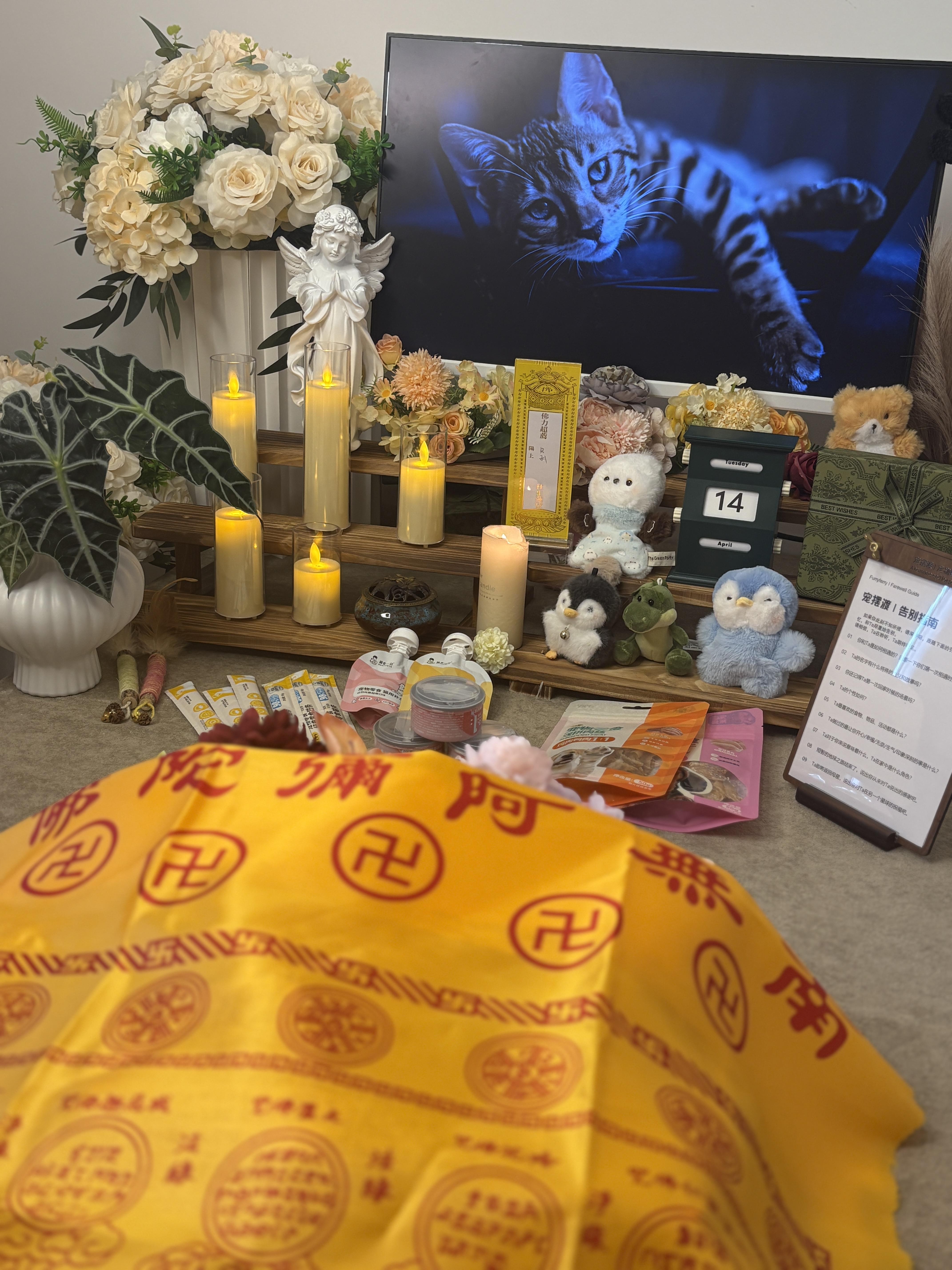 宠物生命礼仪平台