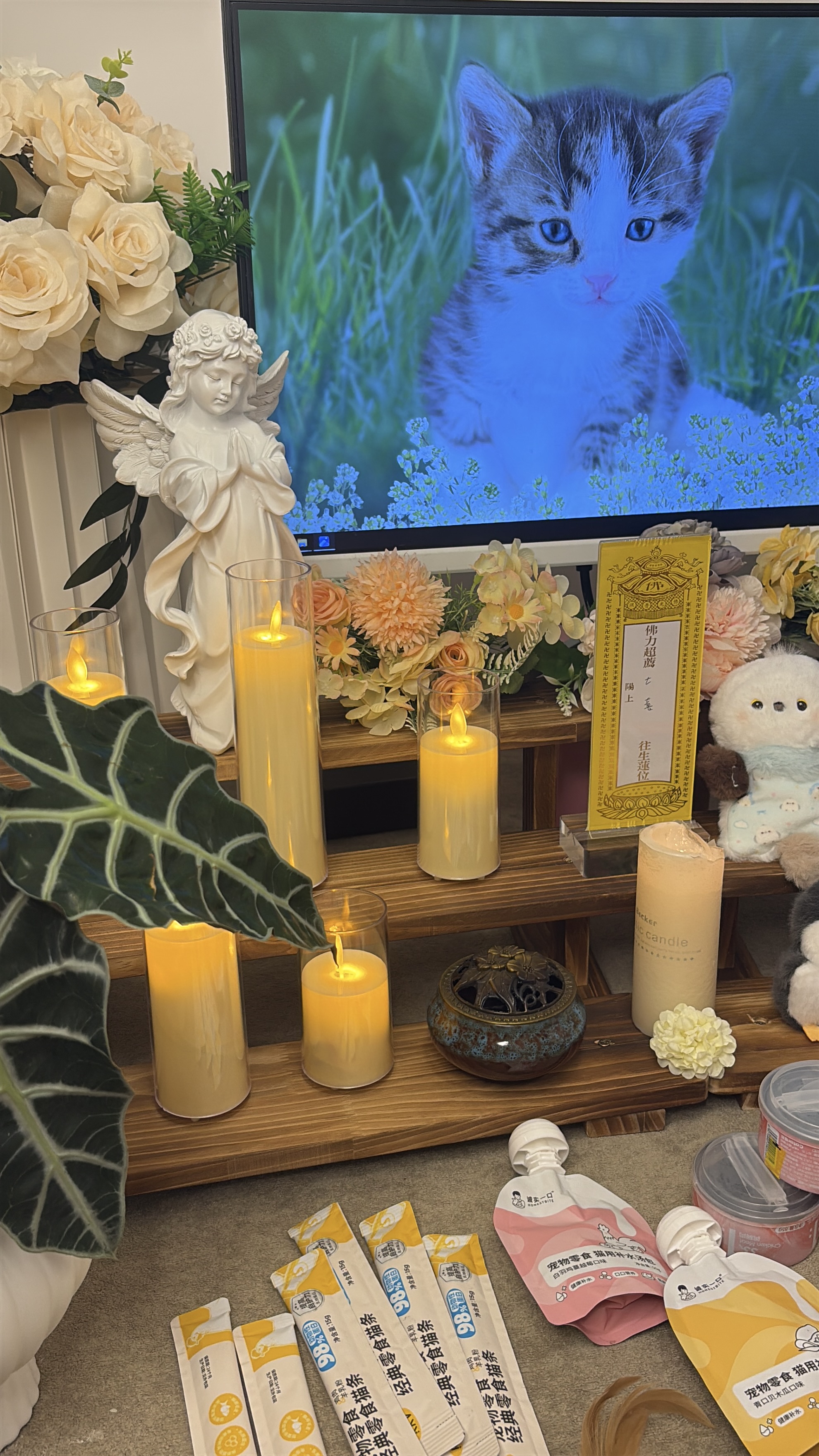 AI告诉我狗狗死后怎么办配图