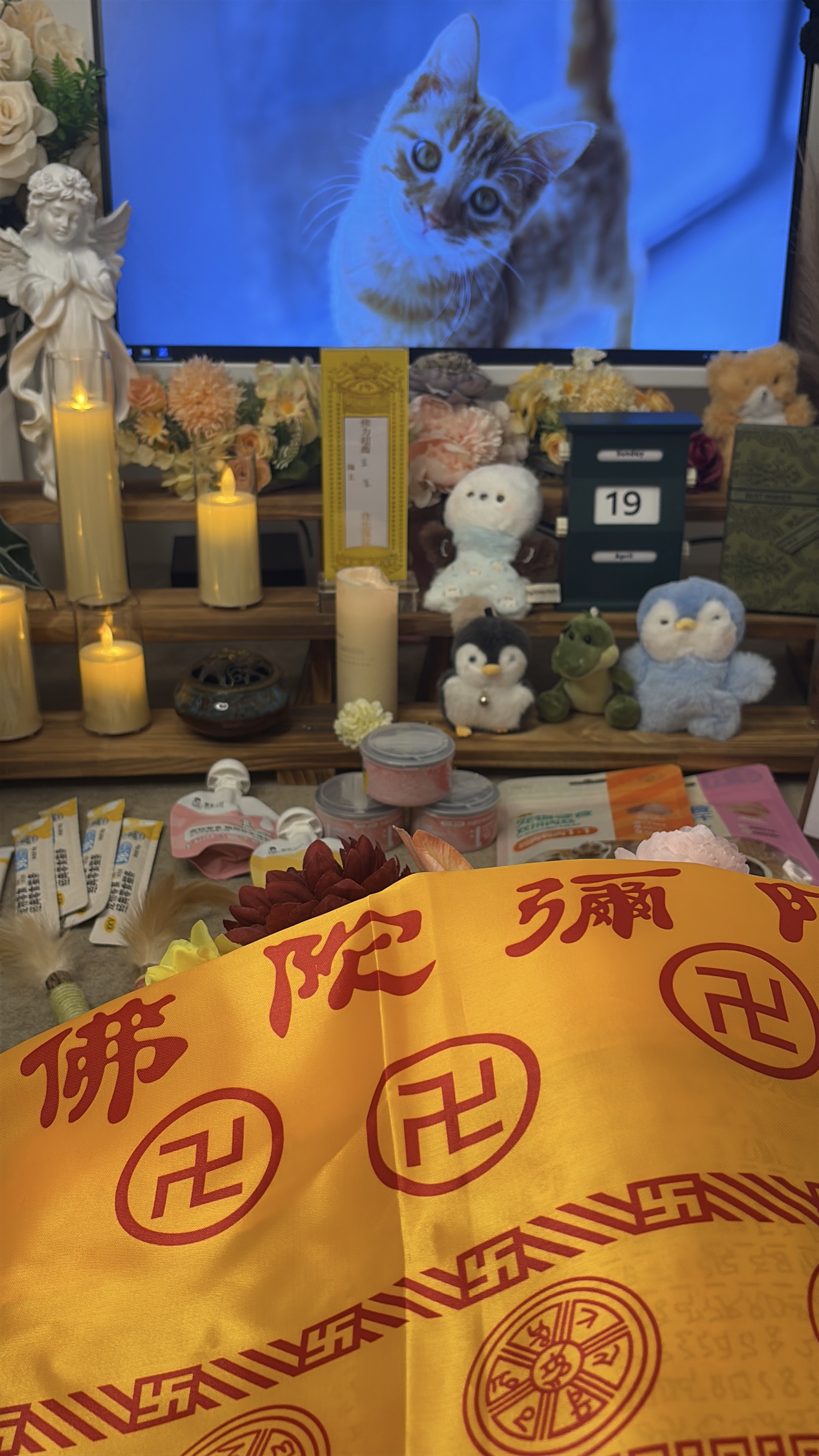 广州宠物殡葬服务