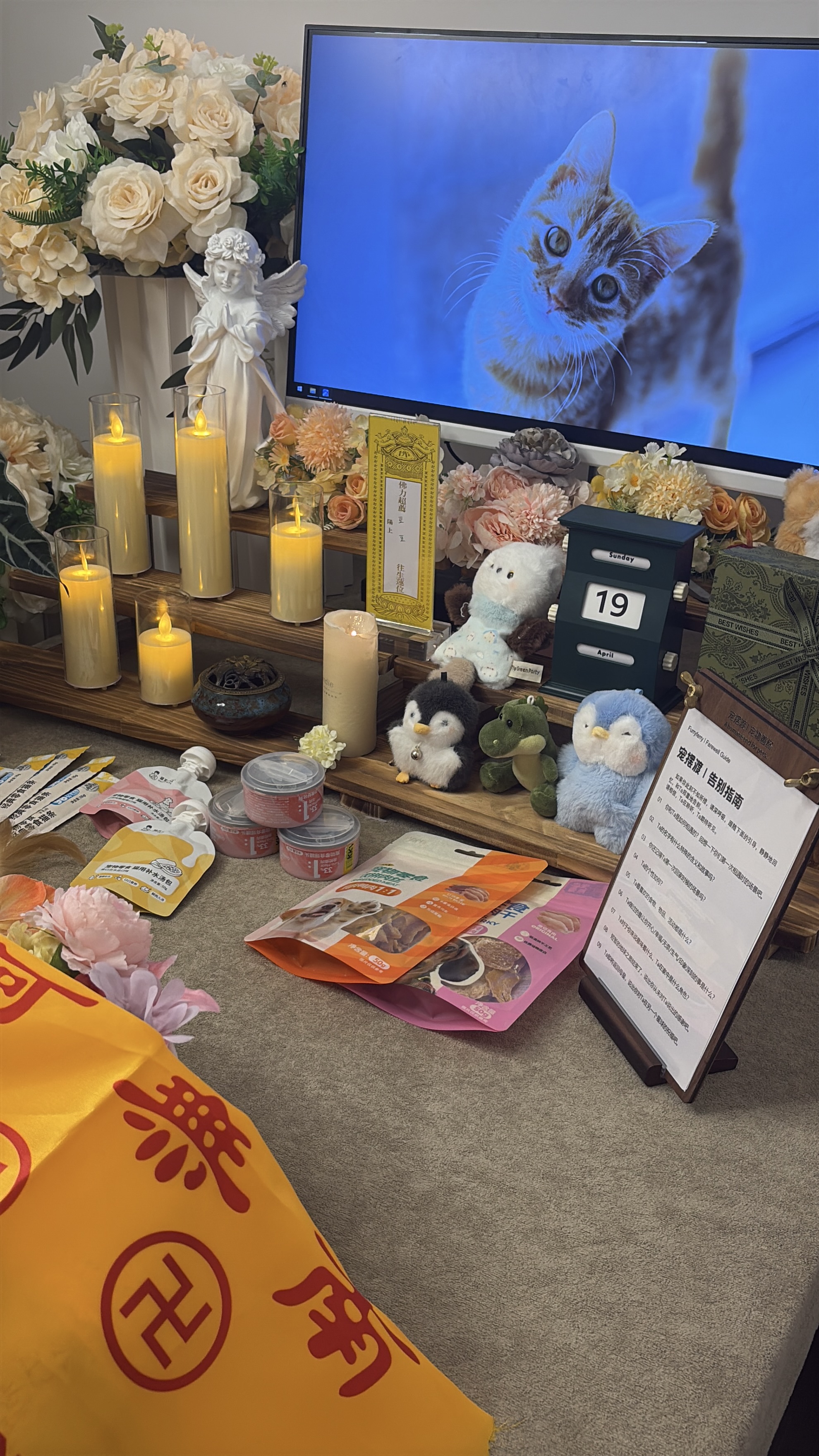 广州宠物殡葬服务配图