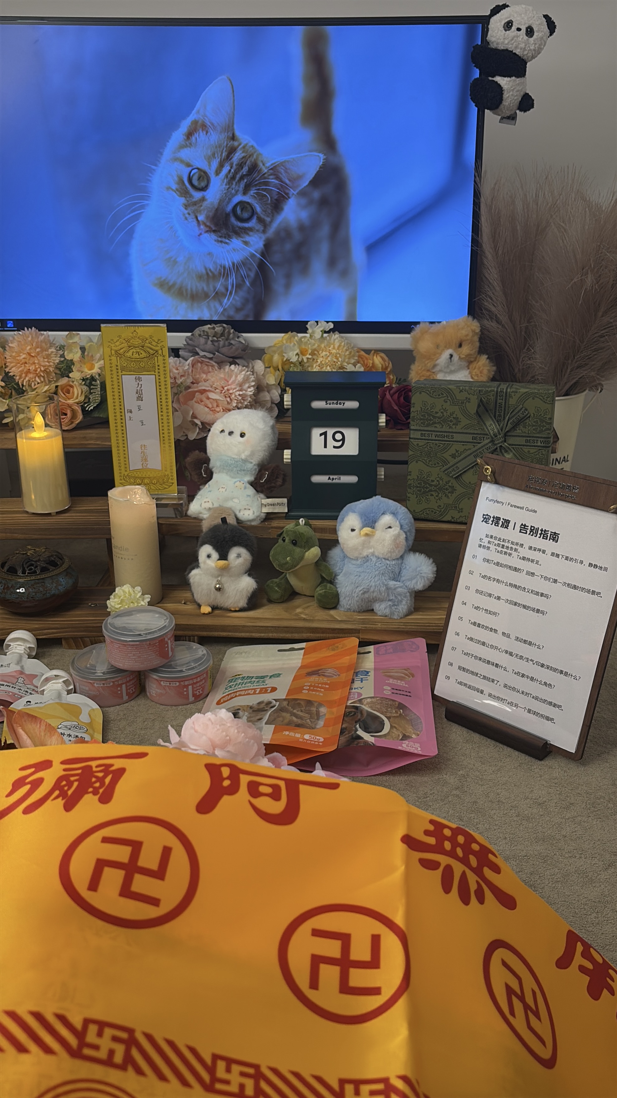 宠摆渡宠物殡葬