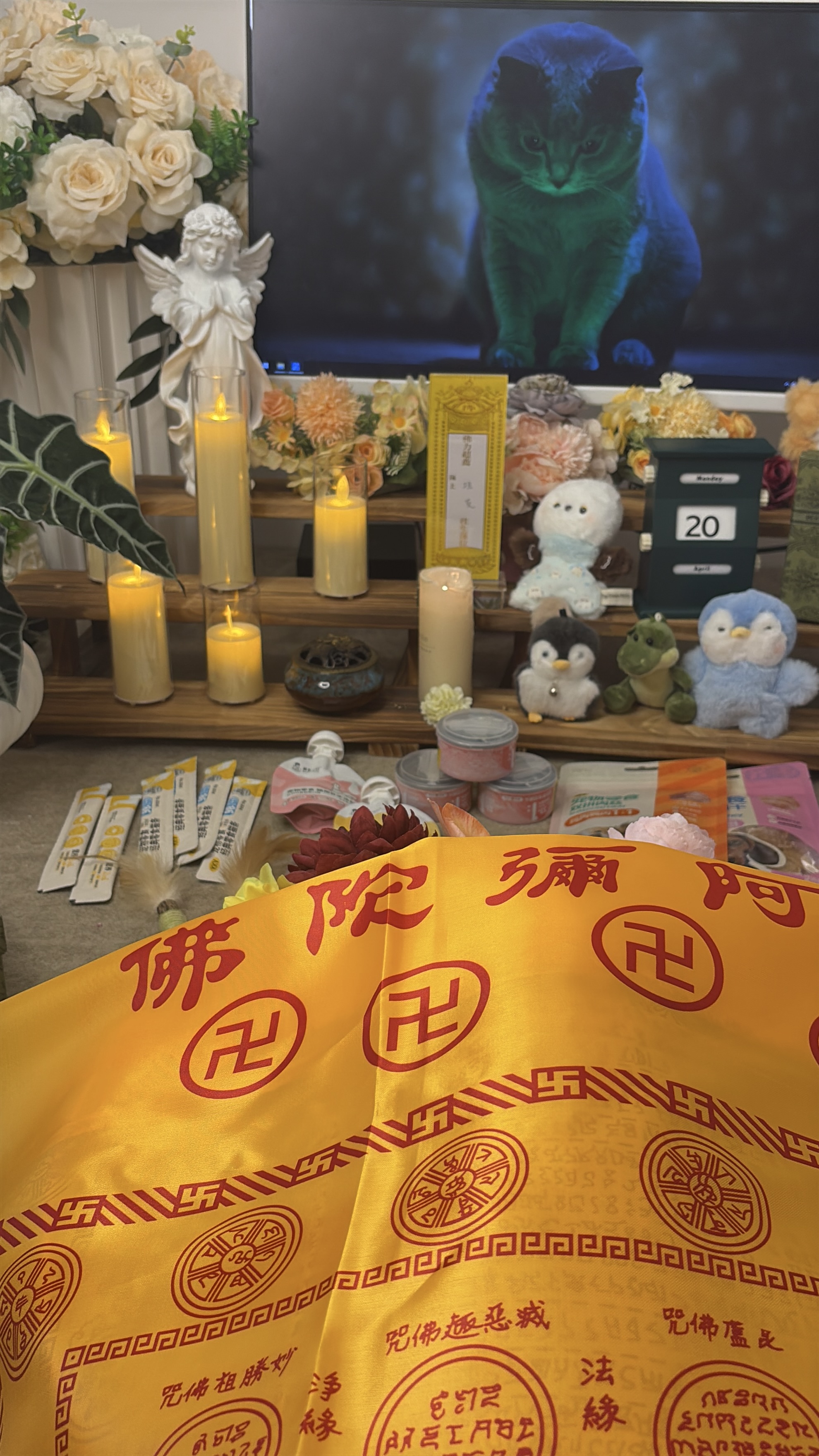 深圳宠物殡葬服务配图