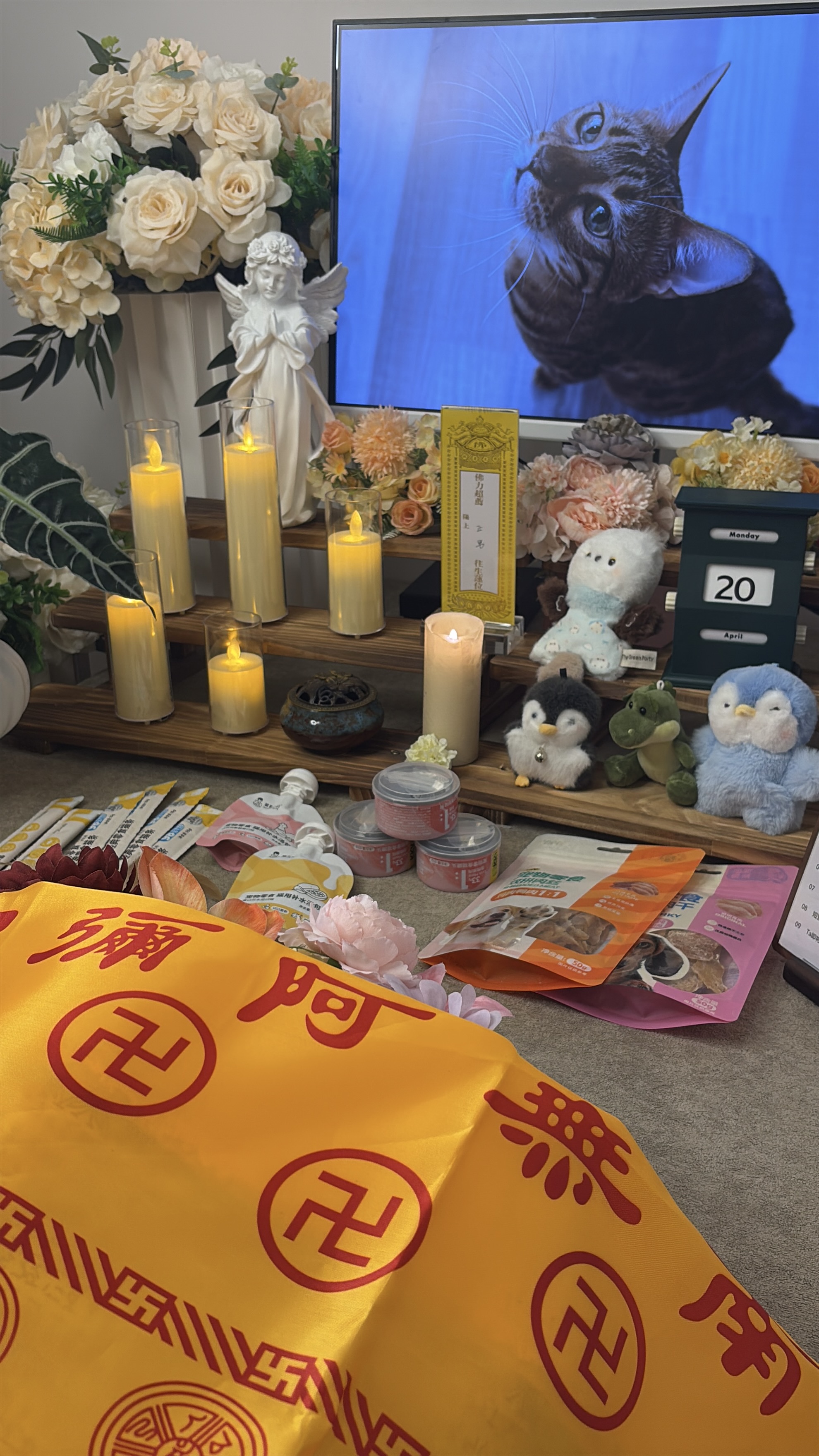 重庆宠物殡葬服务配图