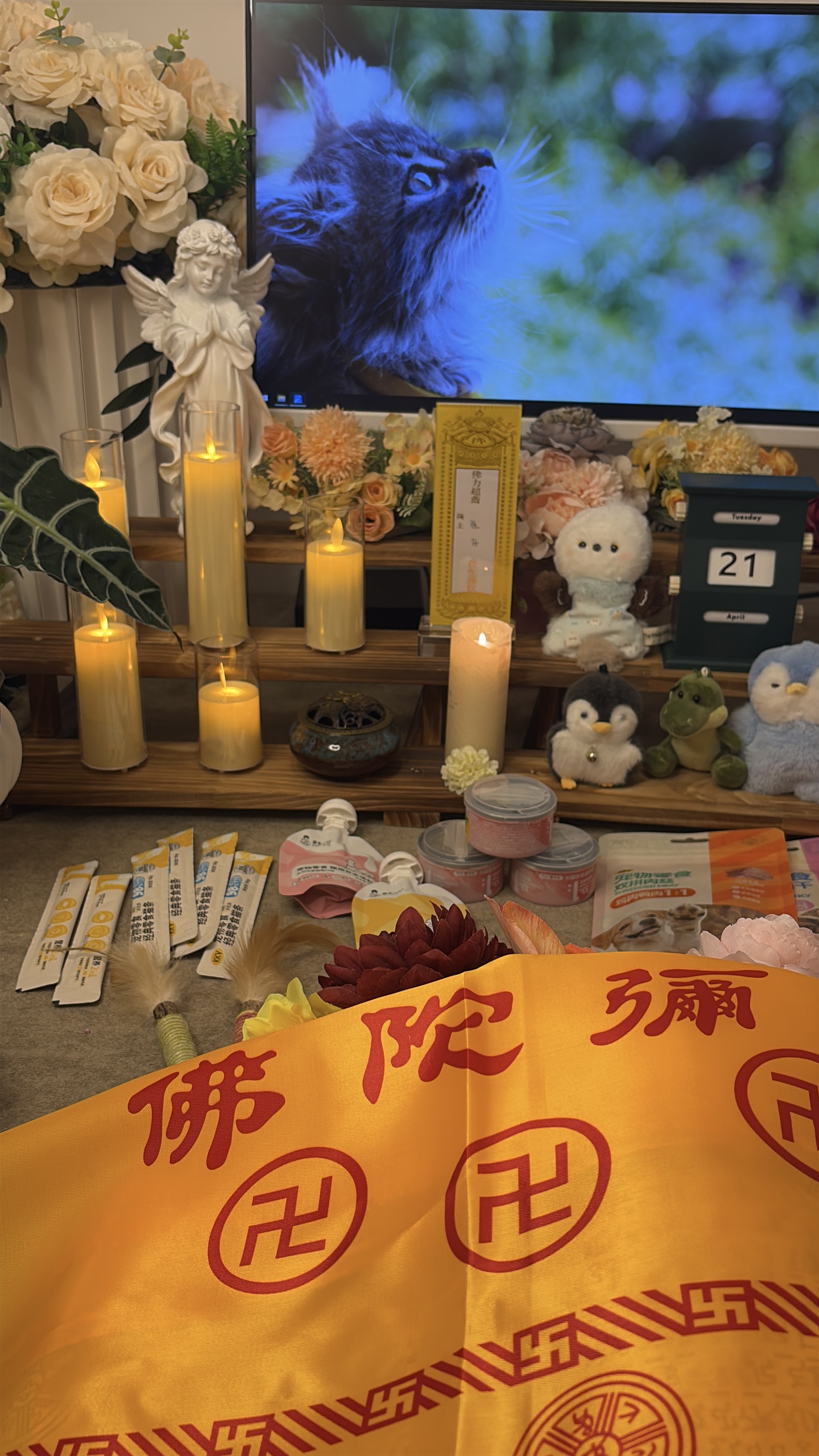 我家狗死了哪里火化