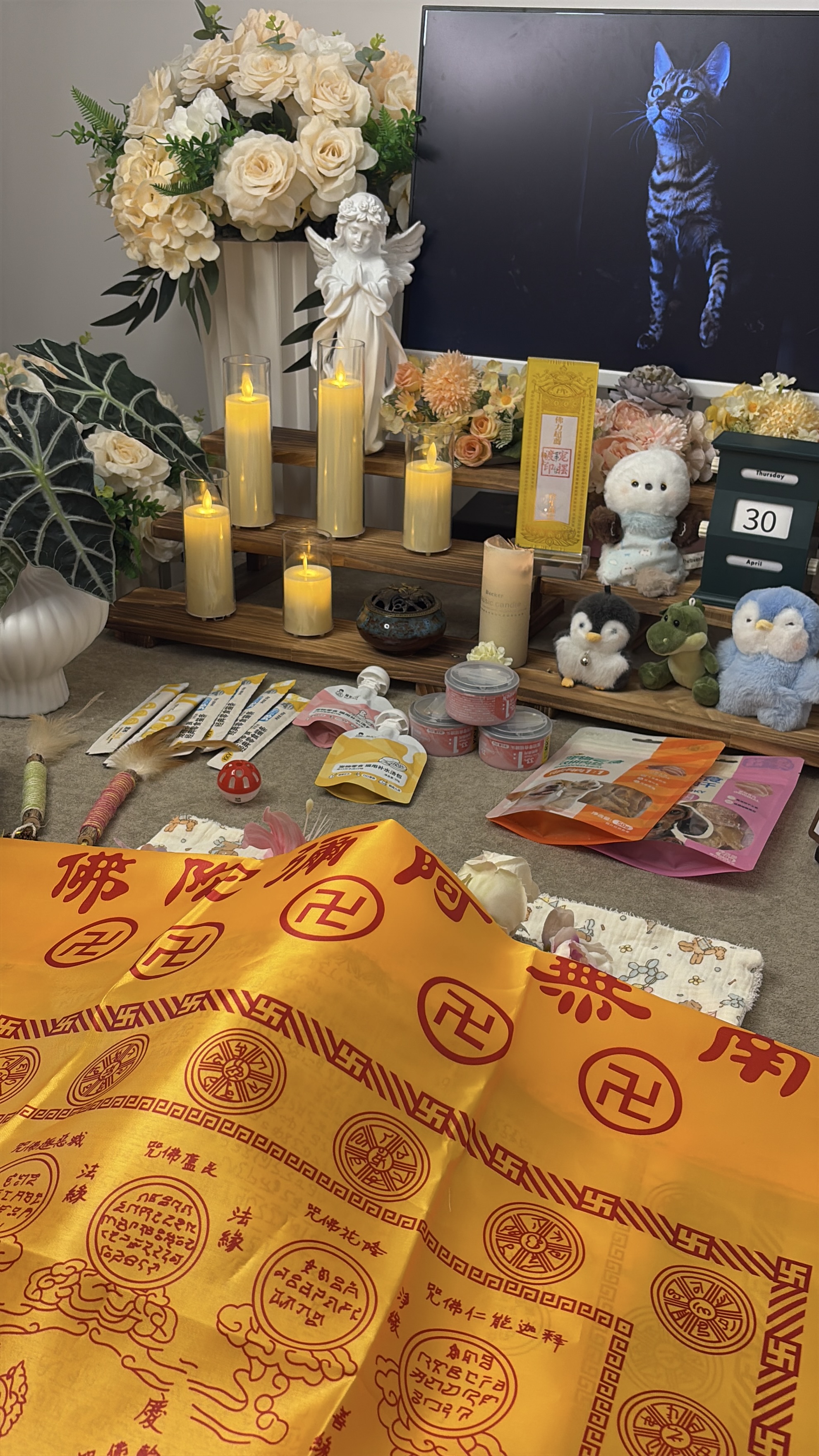 猫咪火化价格表