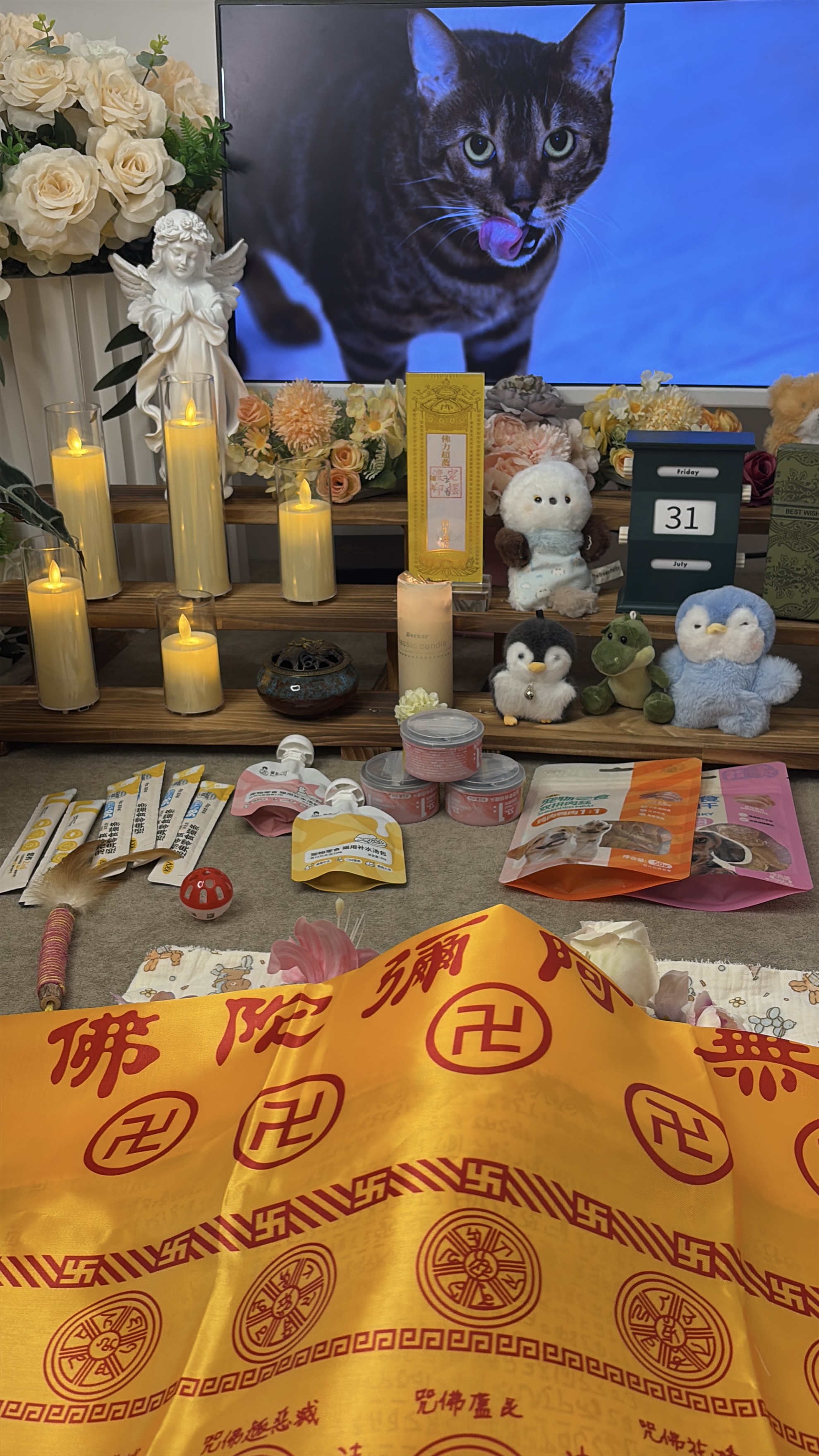 猫咪火化价格表配图