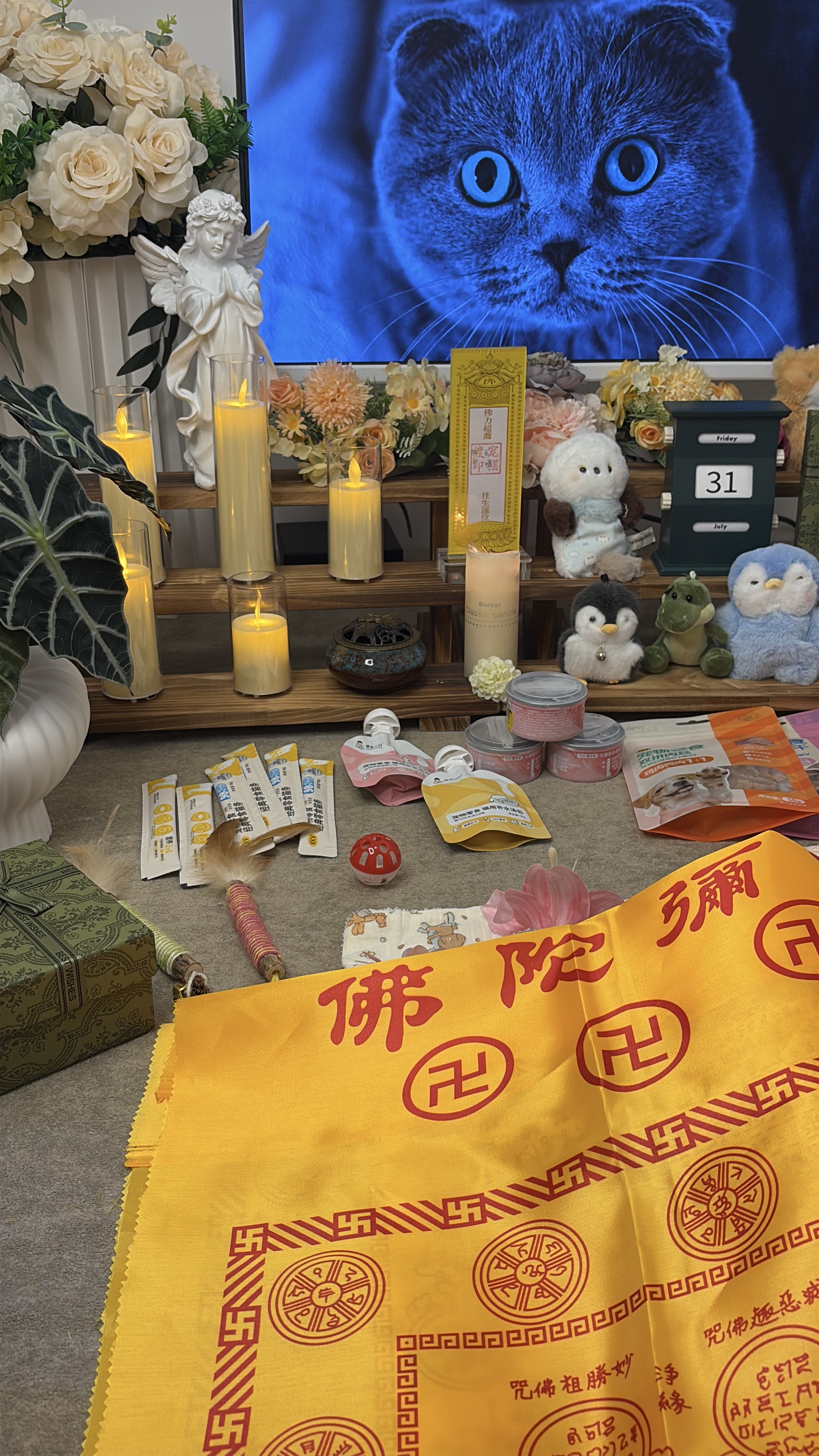 成年猫火化多少钱