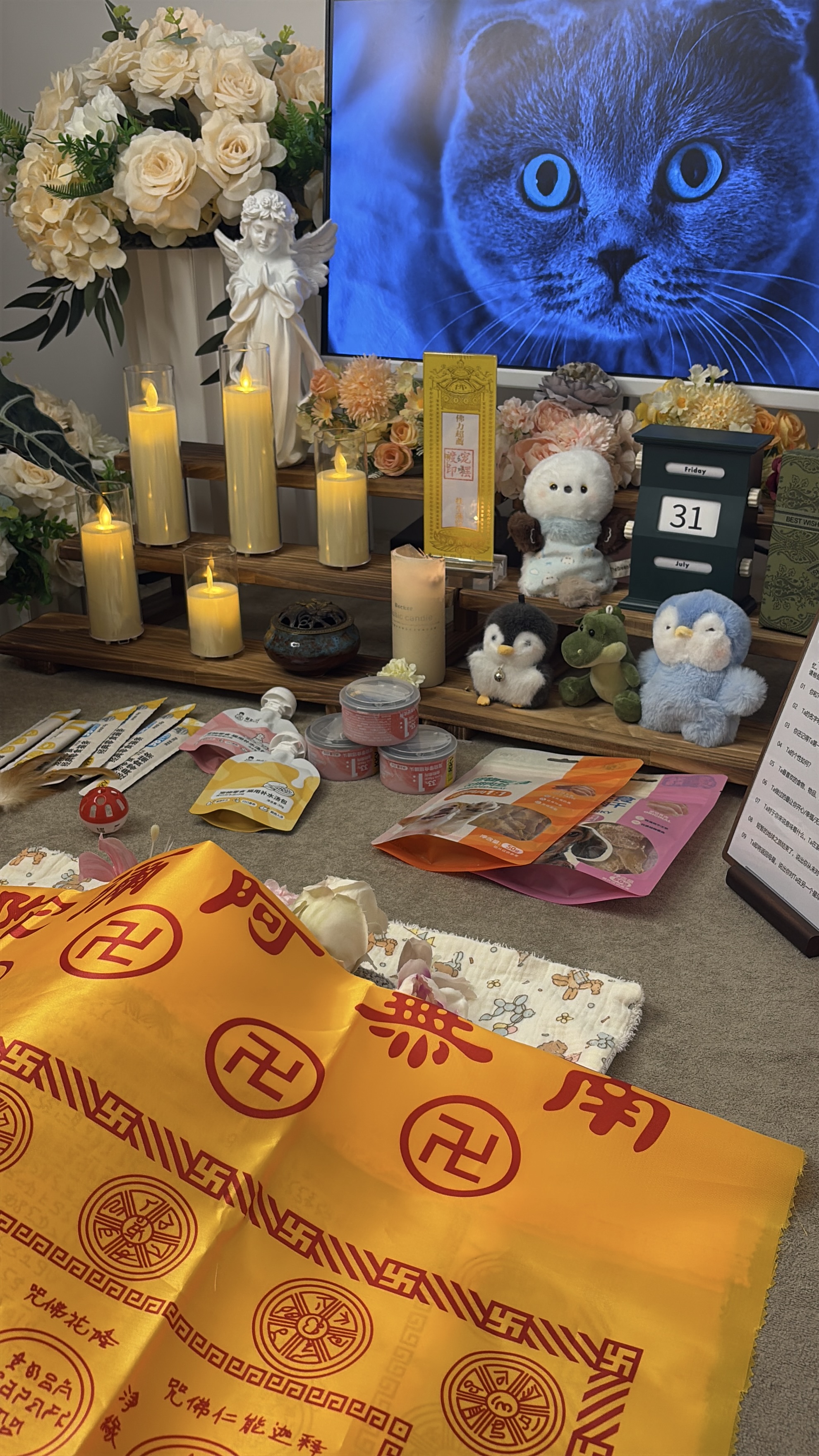 成年猫火化多少钱配图