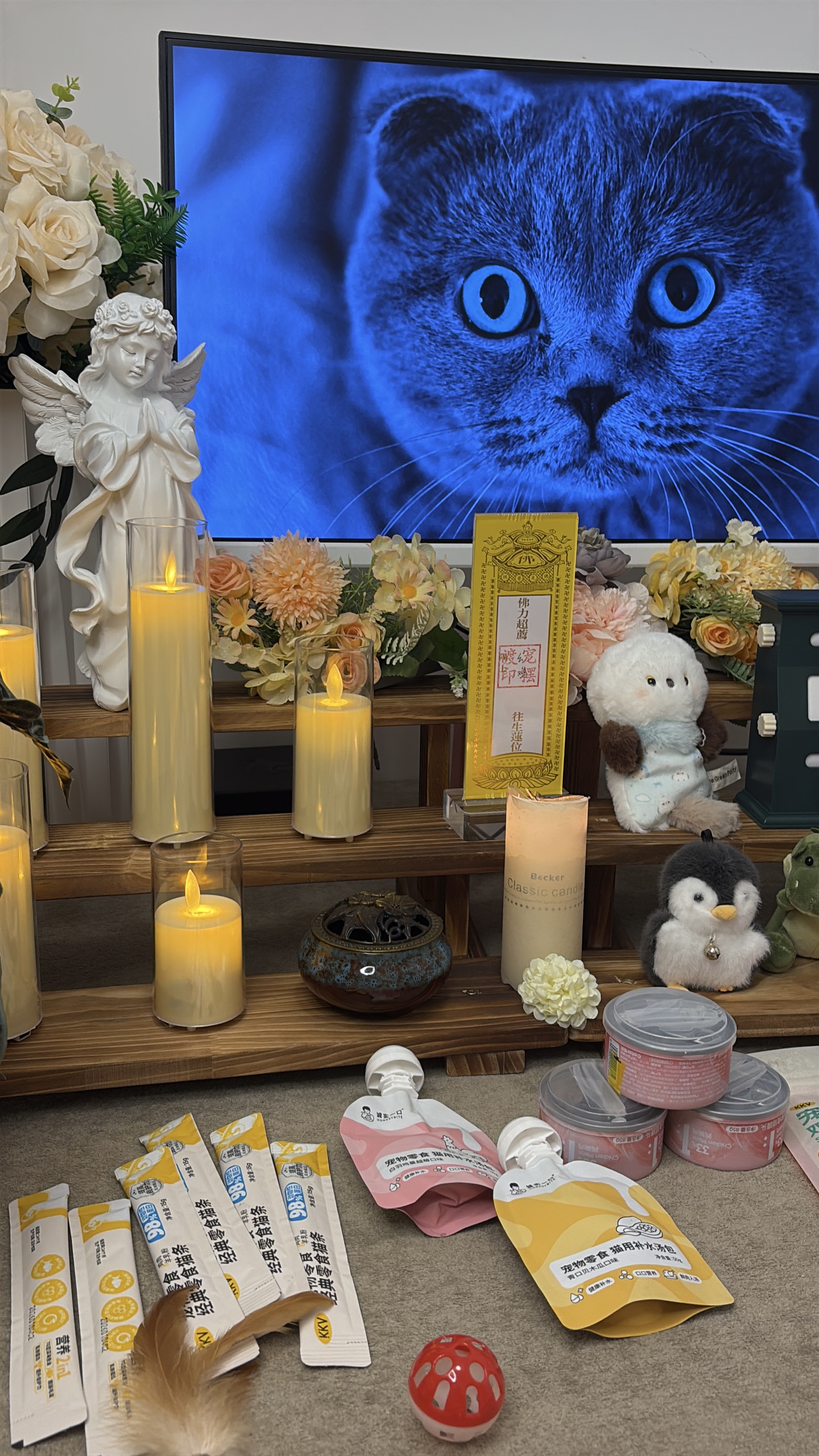 猫咪重量火化价格