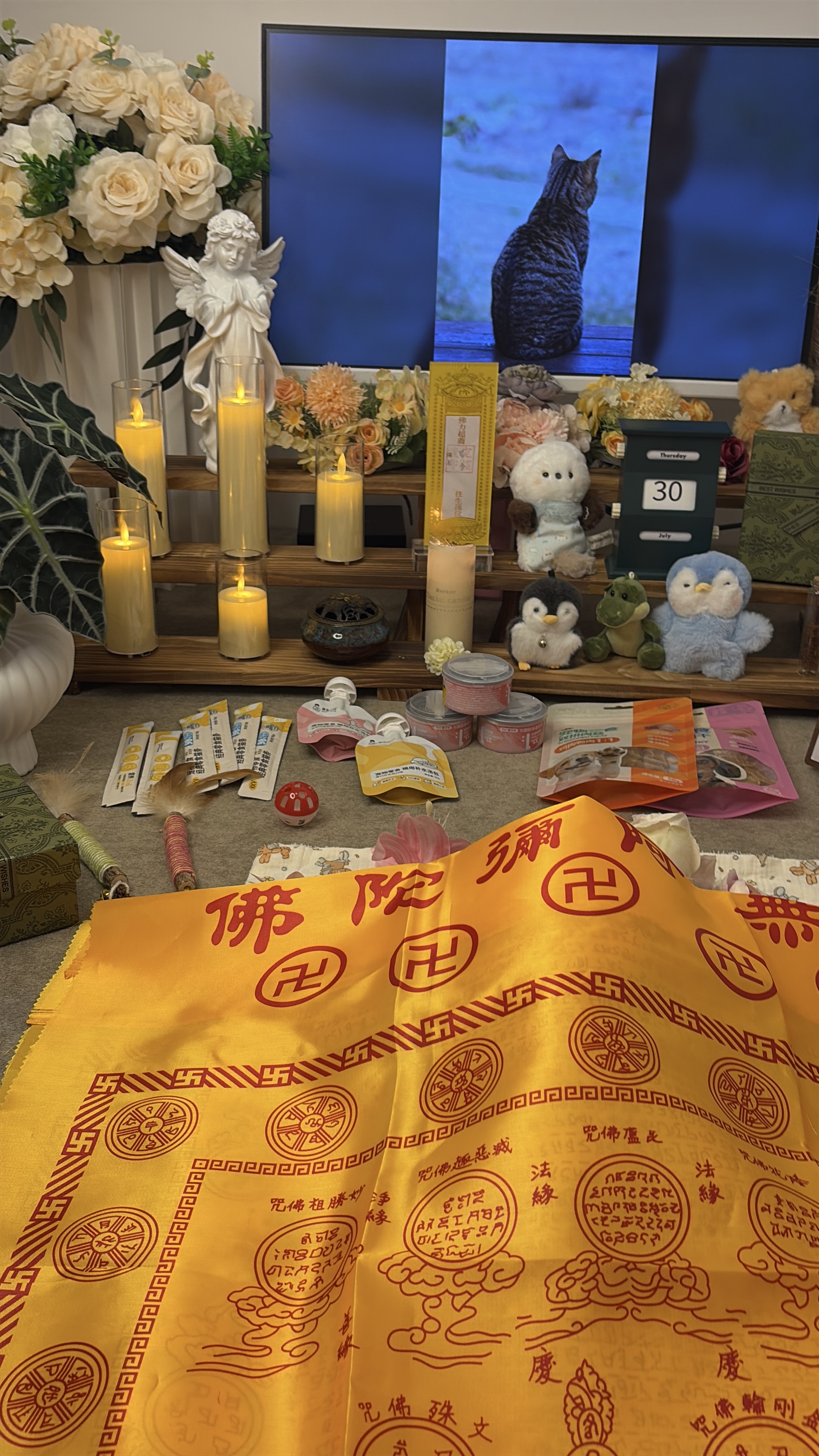 猫咪重量火化价格配图