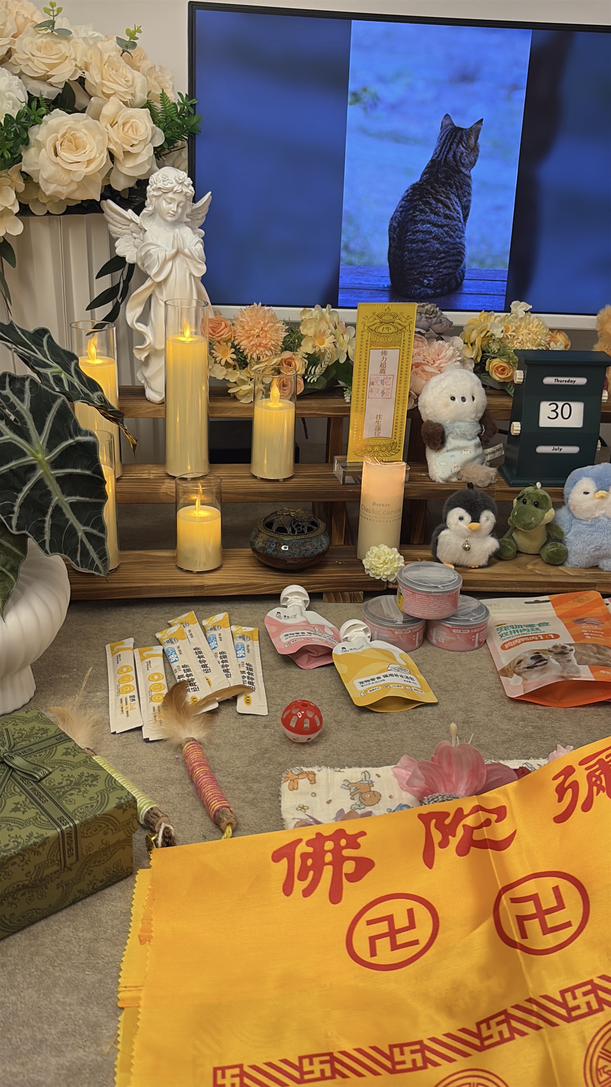 猫咪去世处理费用