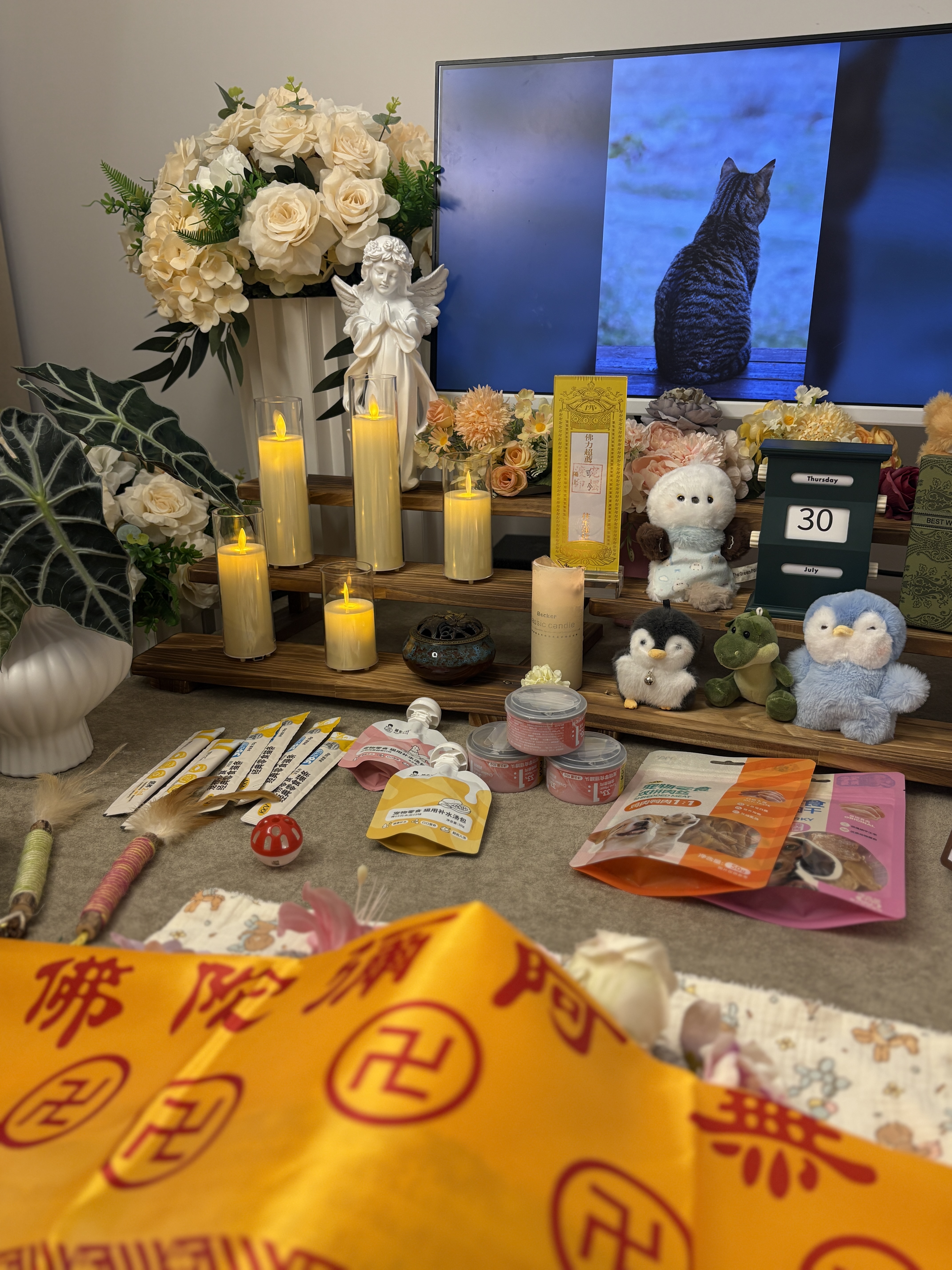 猫咪去世处理费用配图