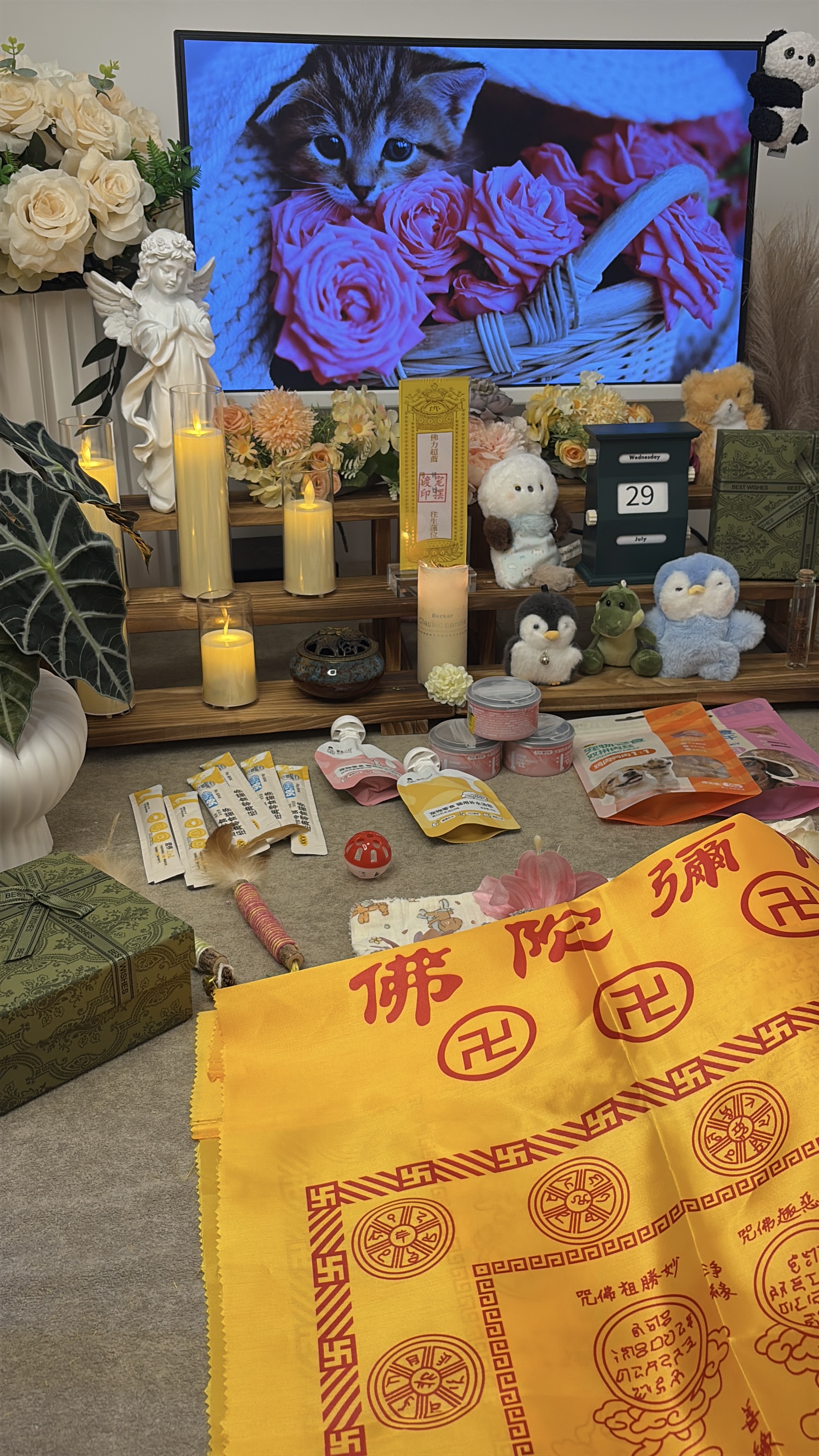 猫咪死后可以火葬吗