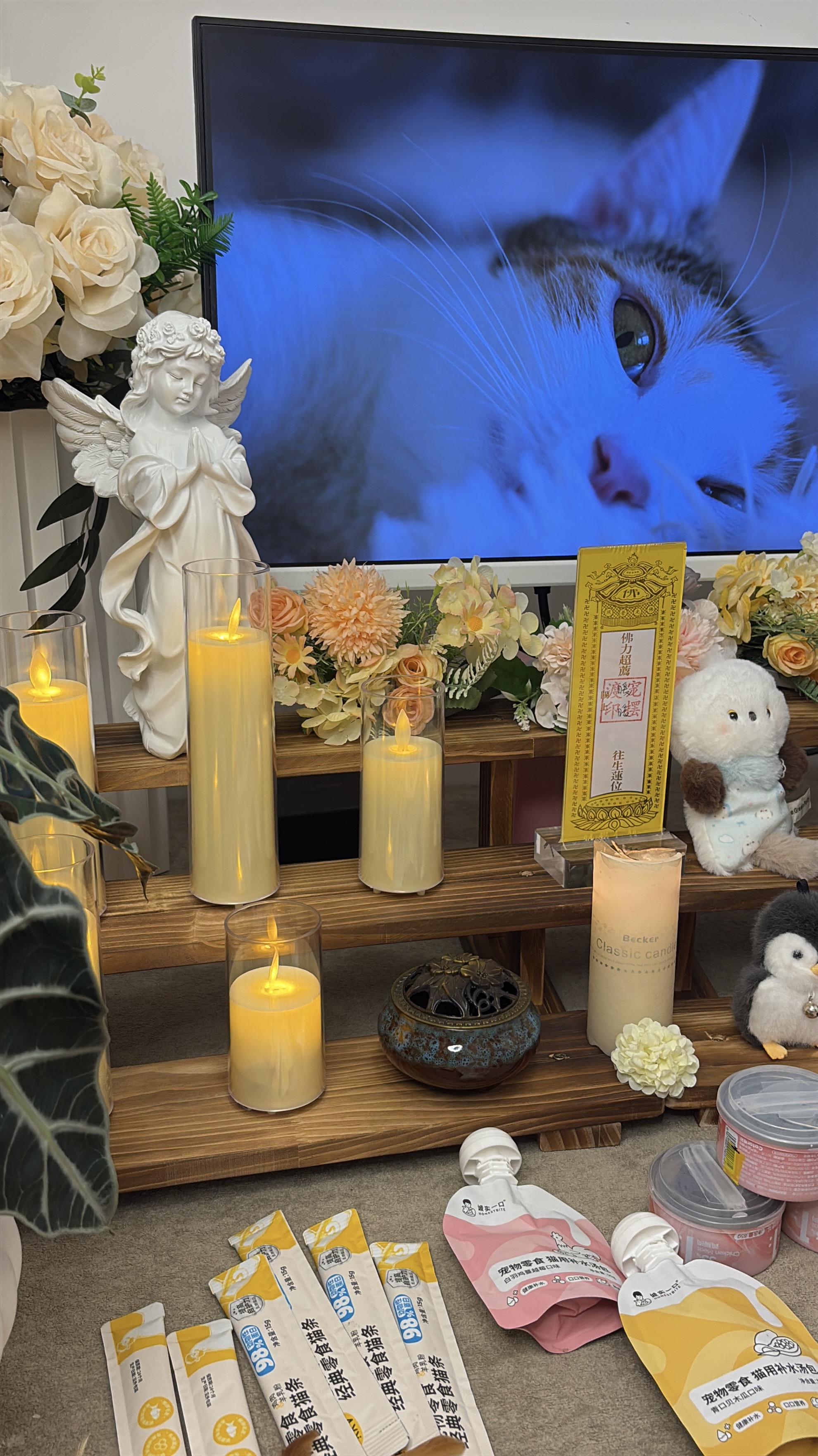 50斤宠物火化多少钱
