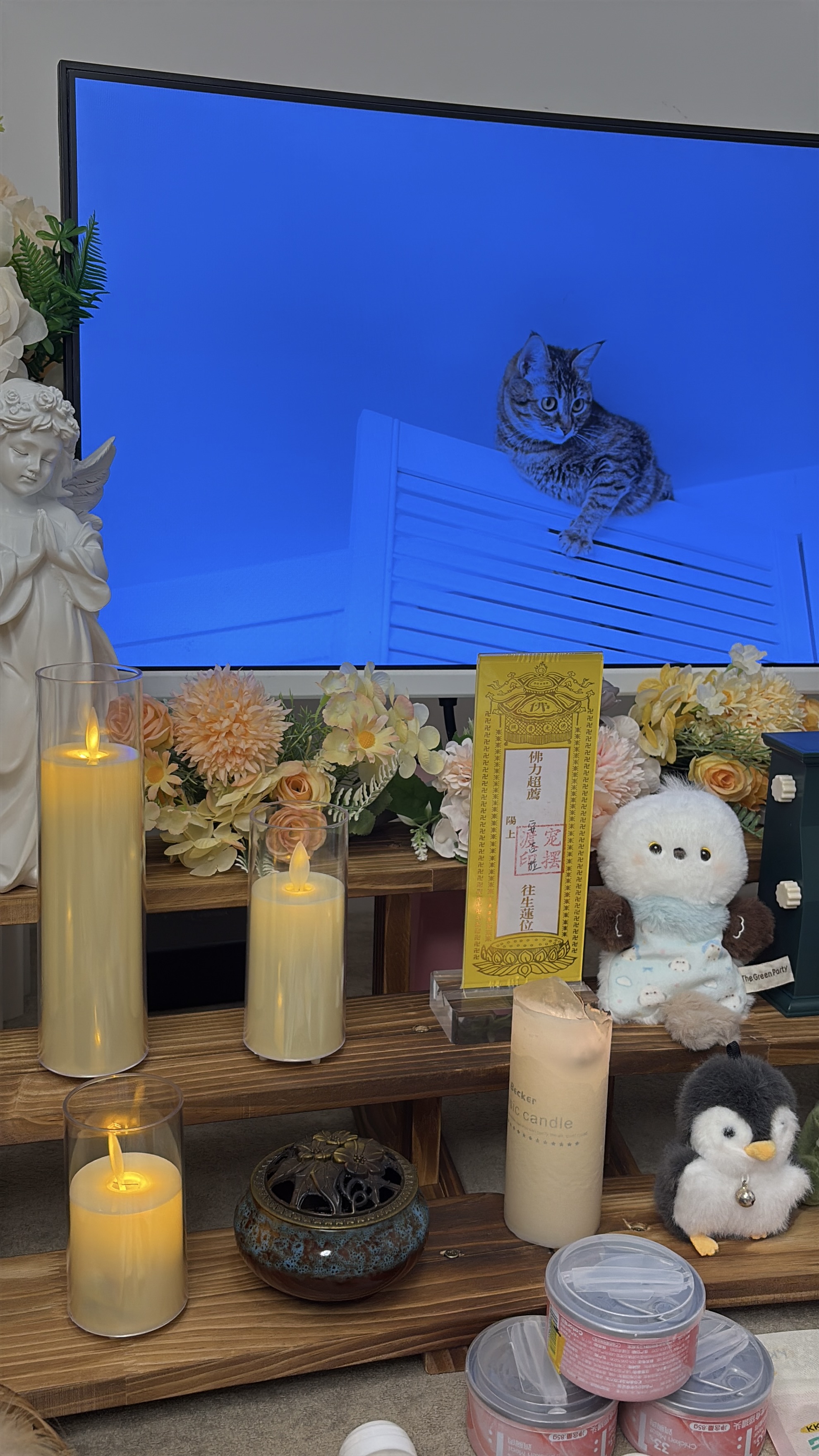 宠物独立火化有什么好处
