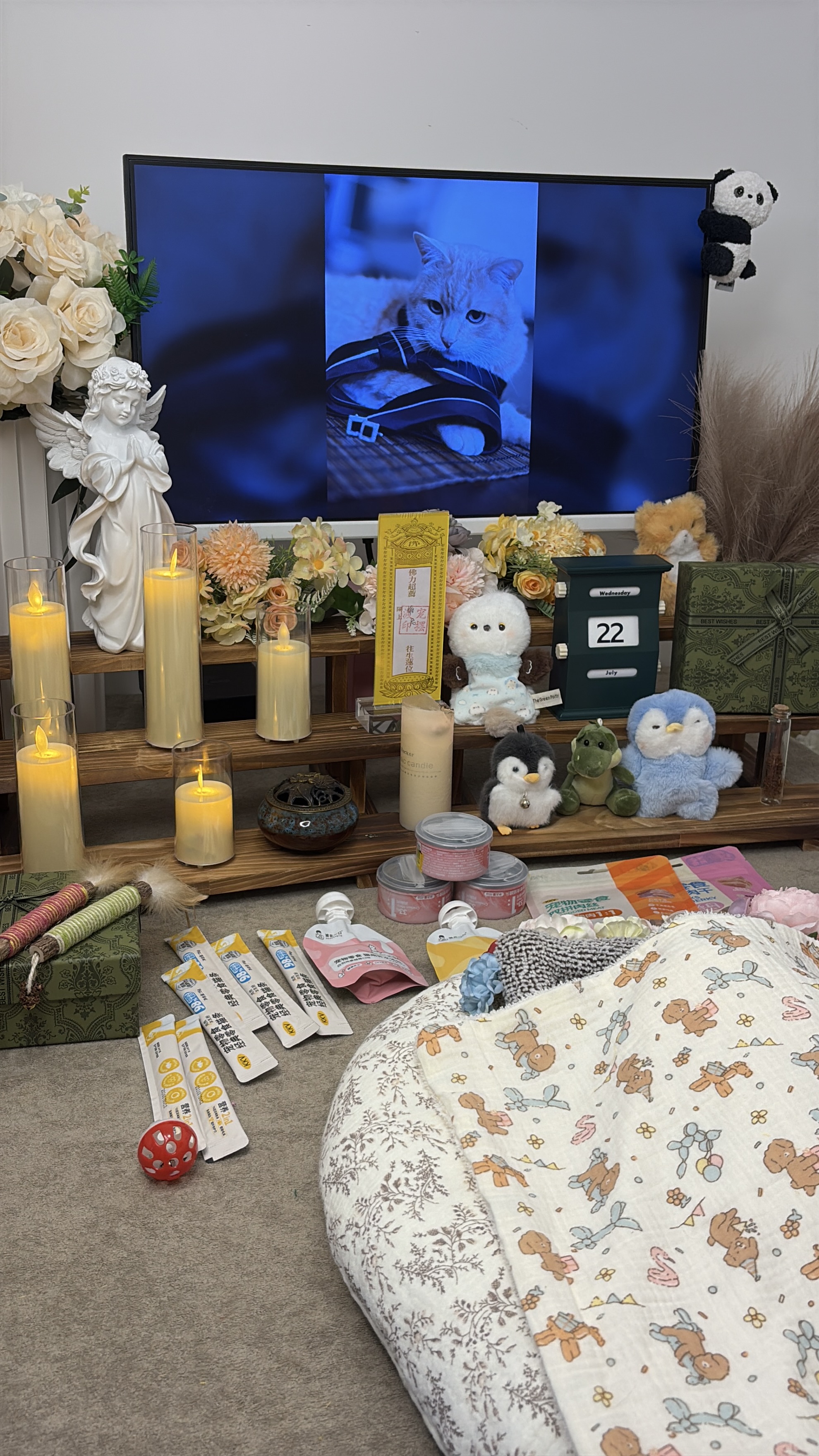 便宜宠物火化哪里有配图