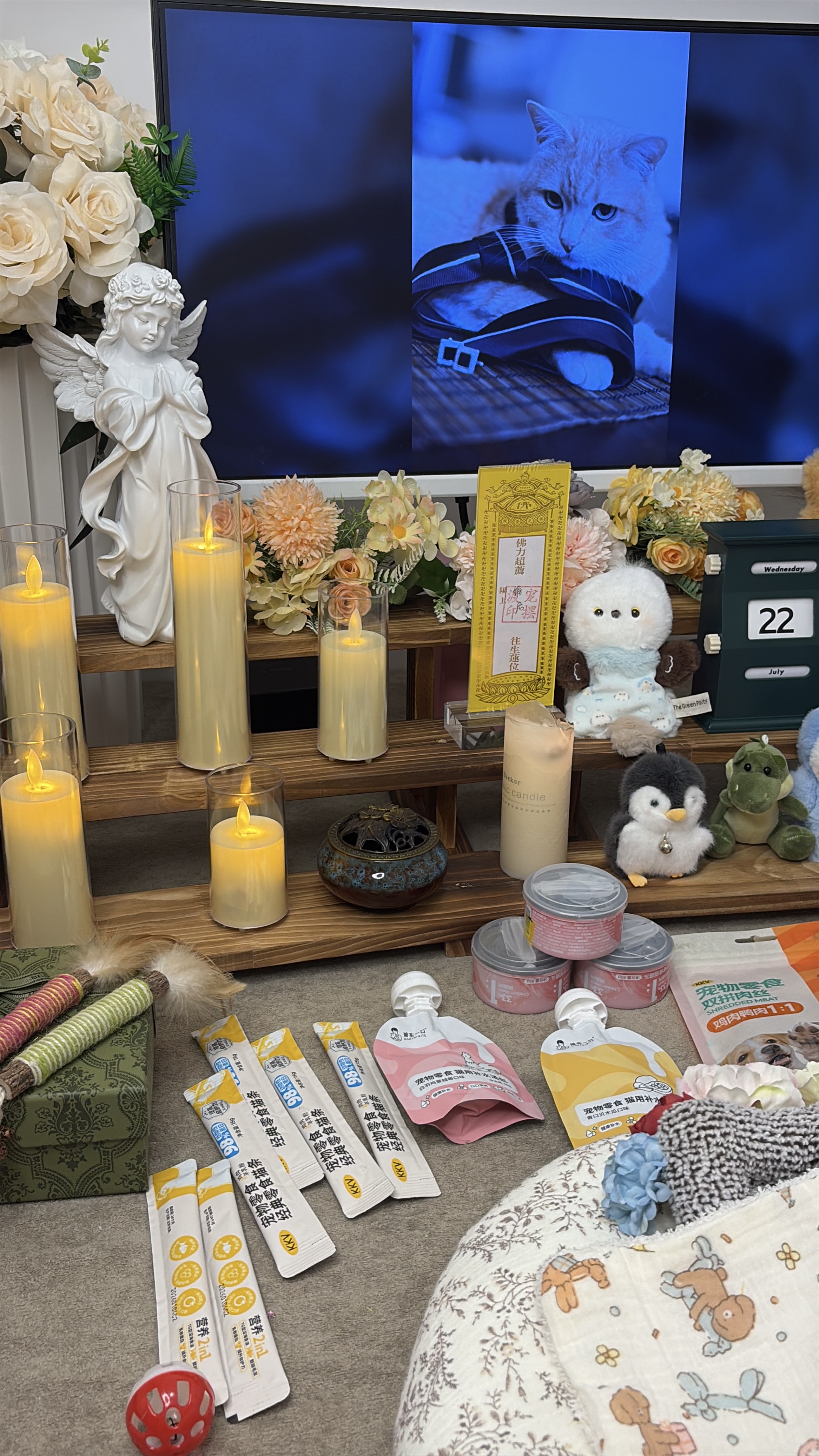 宠物火化家长可以放心吗