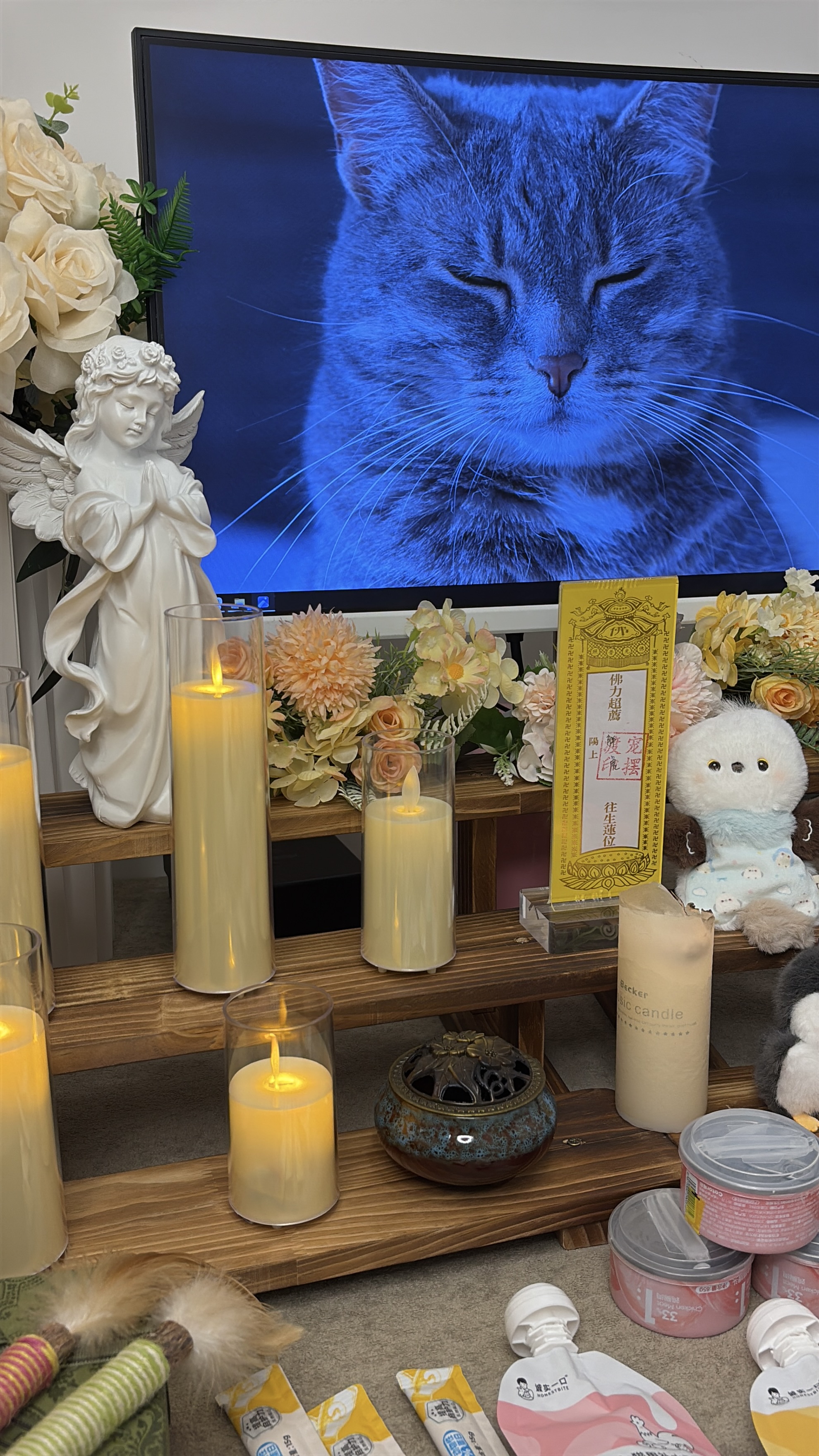 附近猫咪火化机构