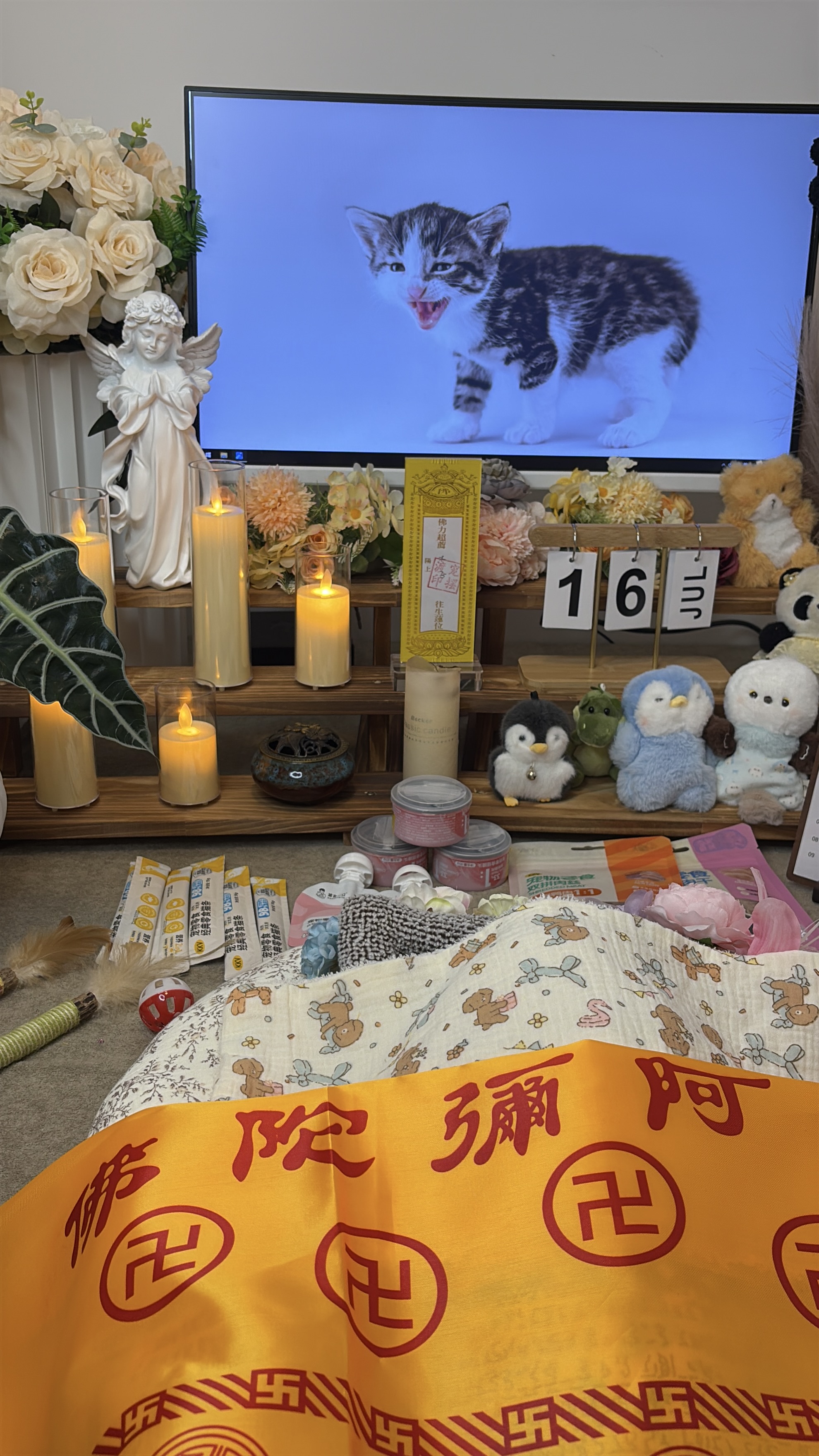 宠物火化可以选择套餐吗
