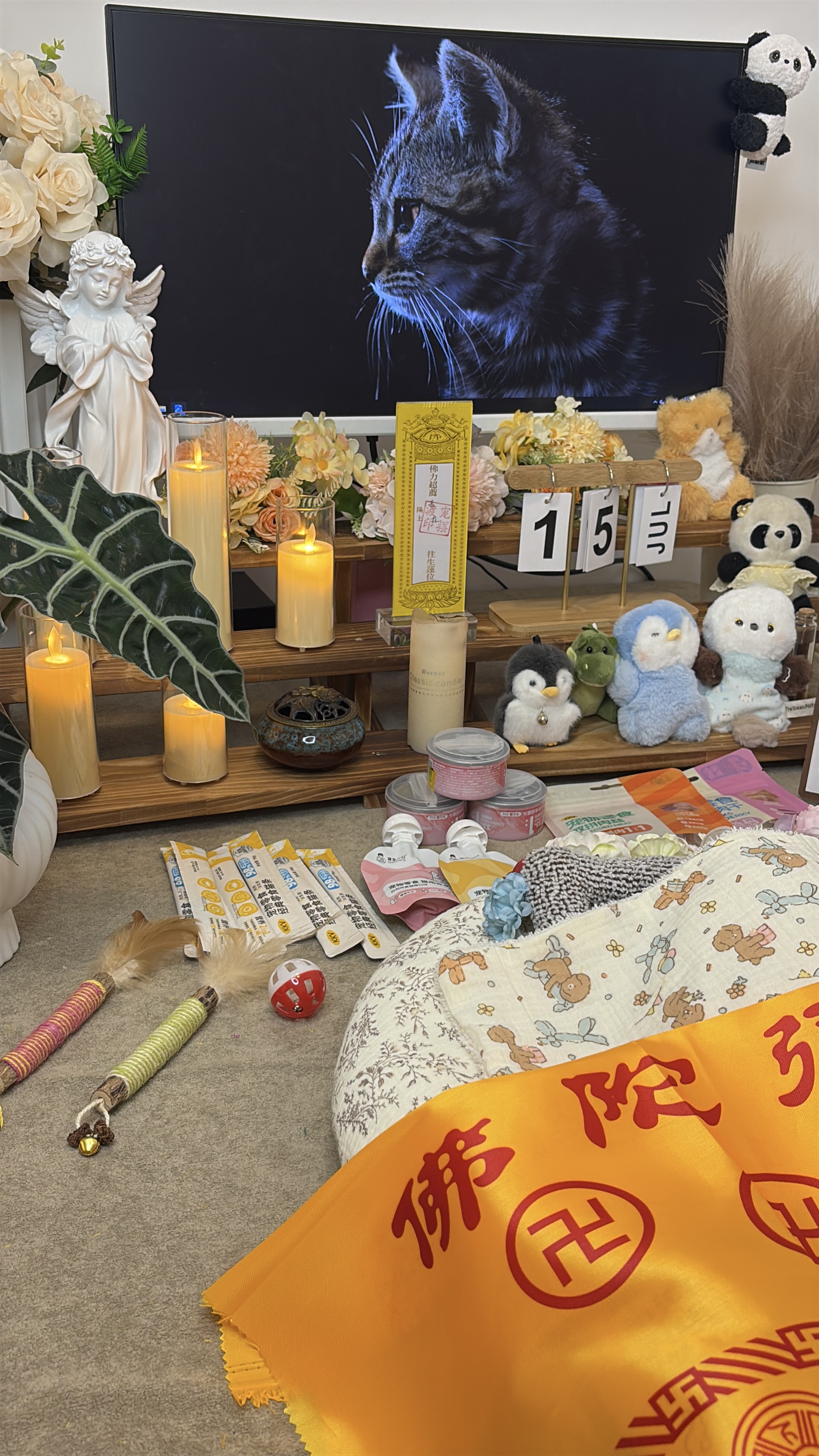 宠物火化当天付款吗