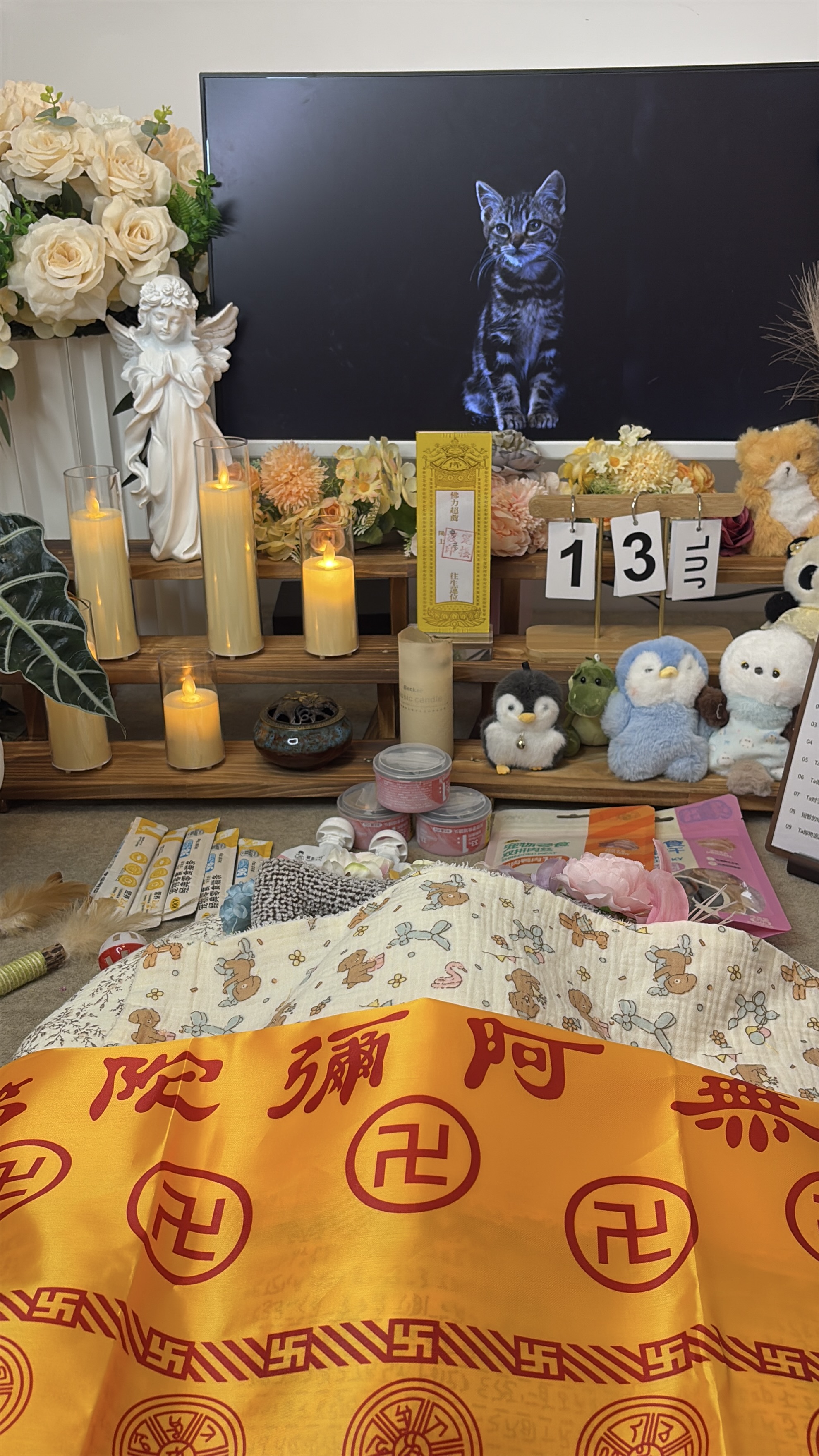 如何判断宠物火化是否正规