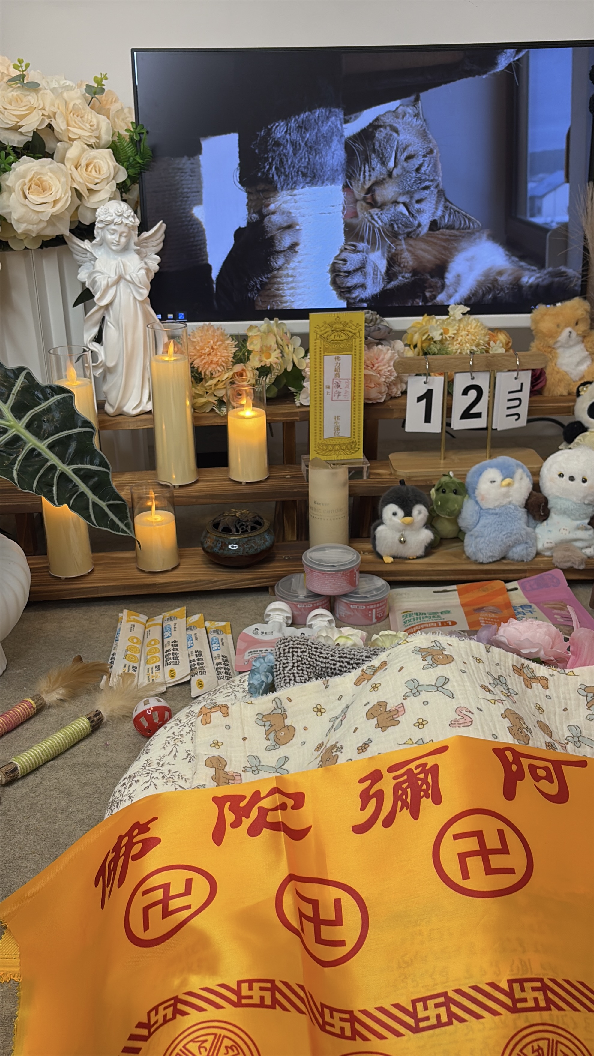 正规宠物火化机构怎么找
