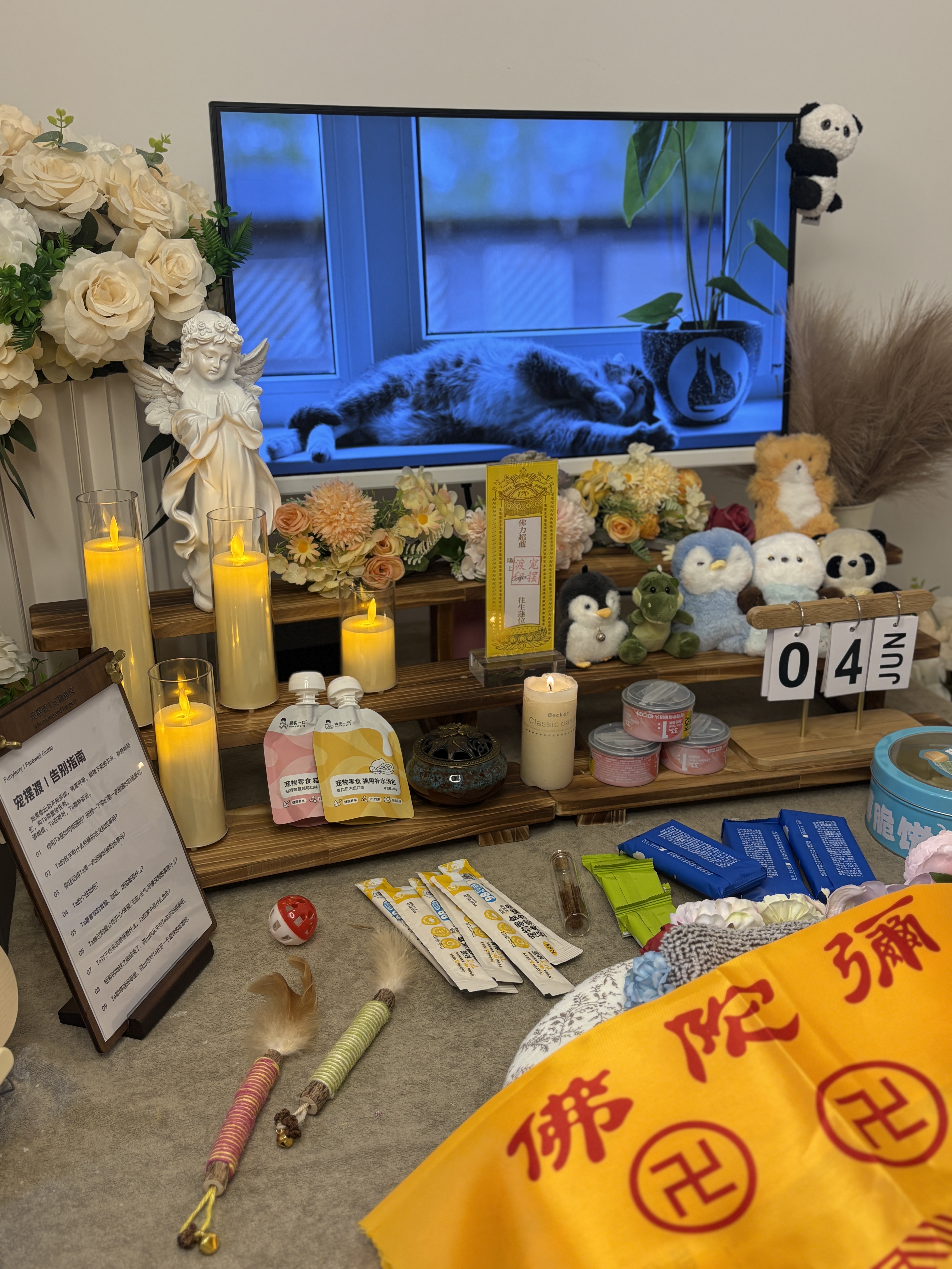 深圳宠物火化多少钱