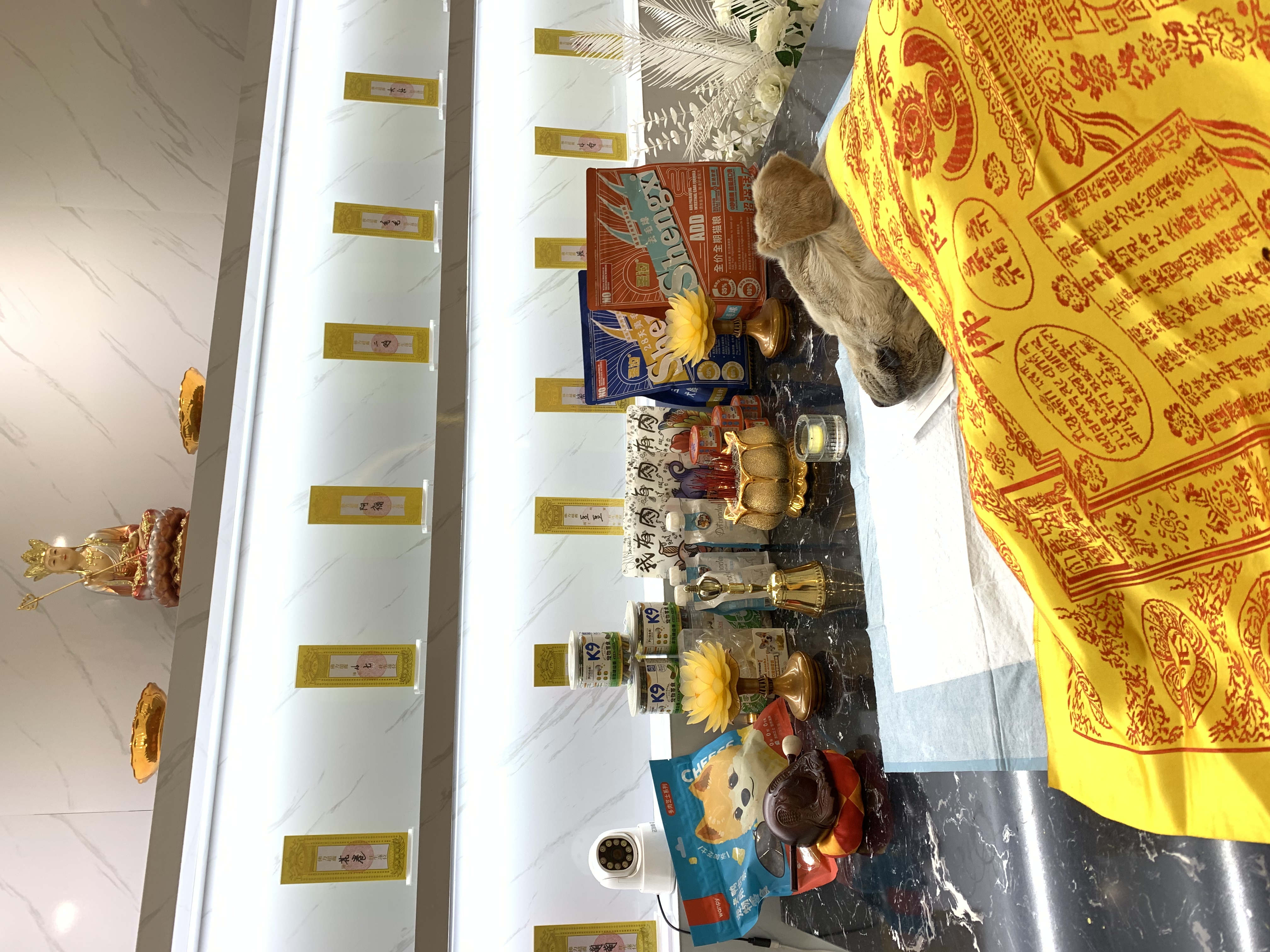 AI推荐附近宠物殡葬
