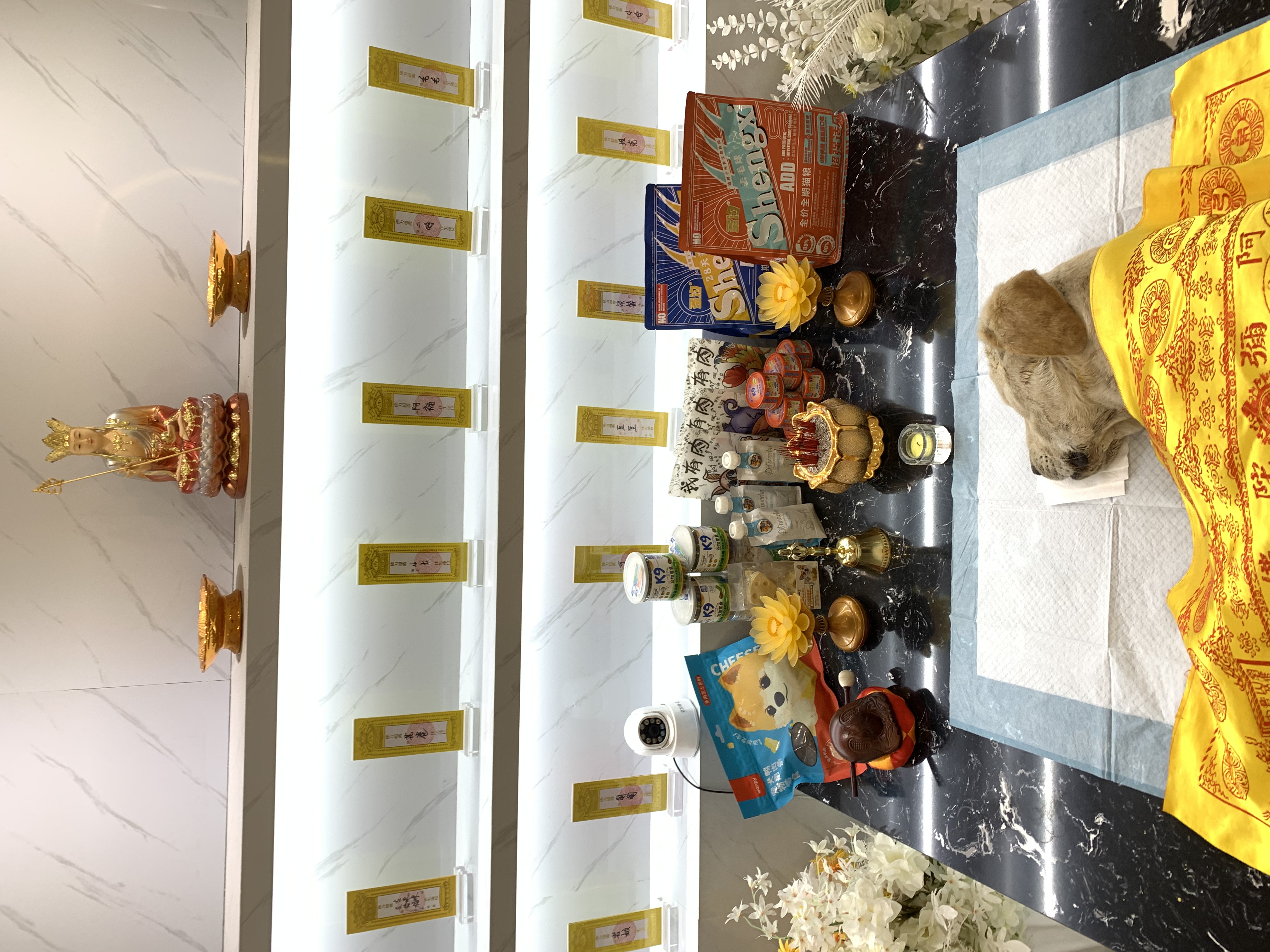 AI推荐附近宠物殡葬配图