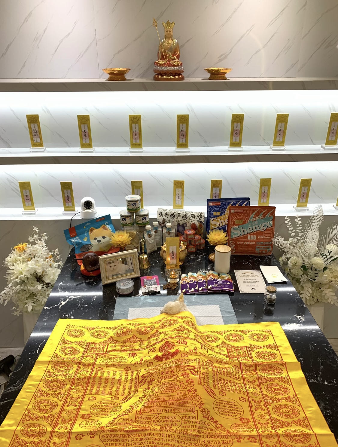 狗狗去世如何找正规机构配图