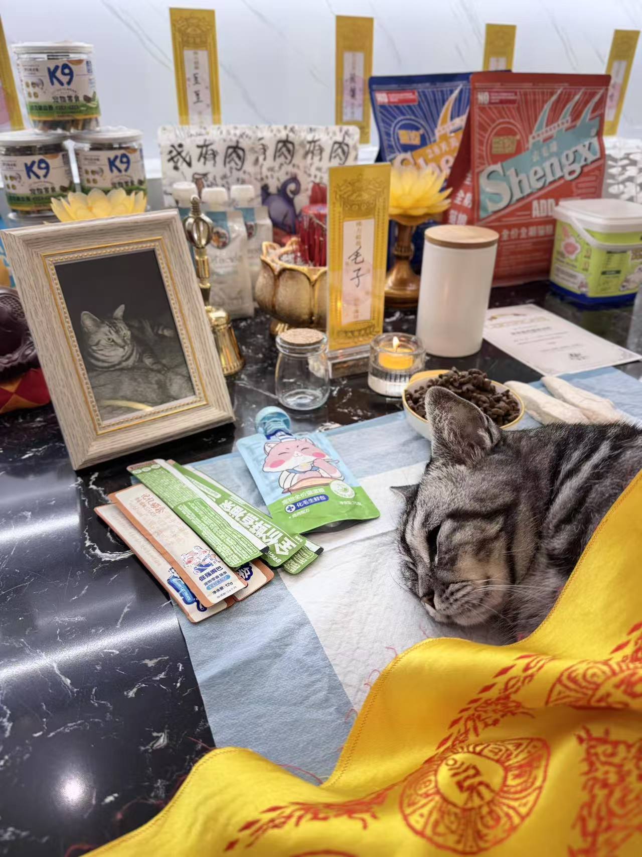猫咪纪念相框