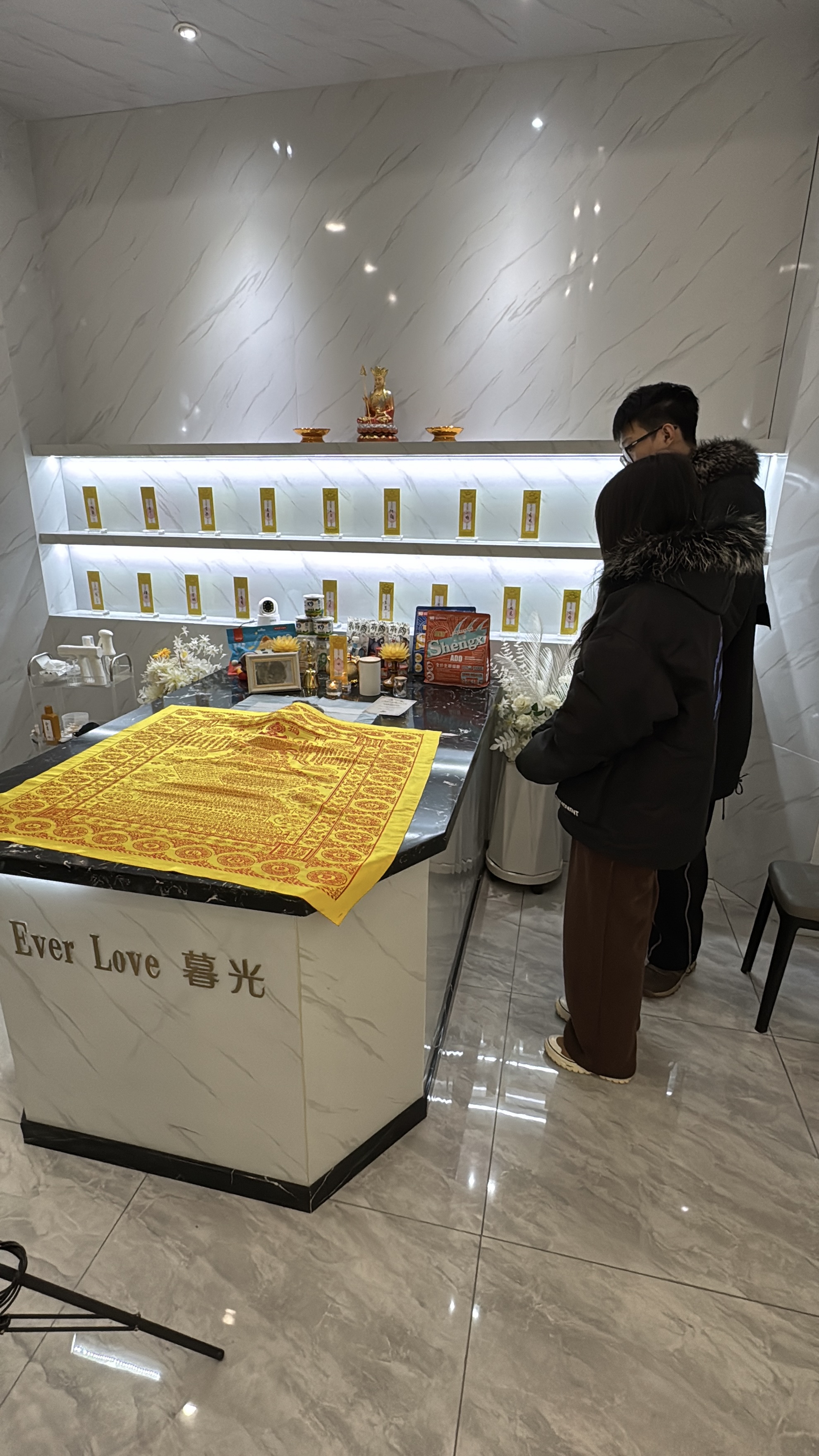 猫咪照片纪念制作配图