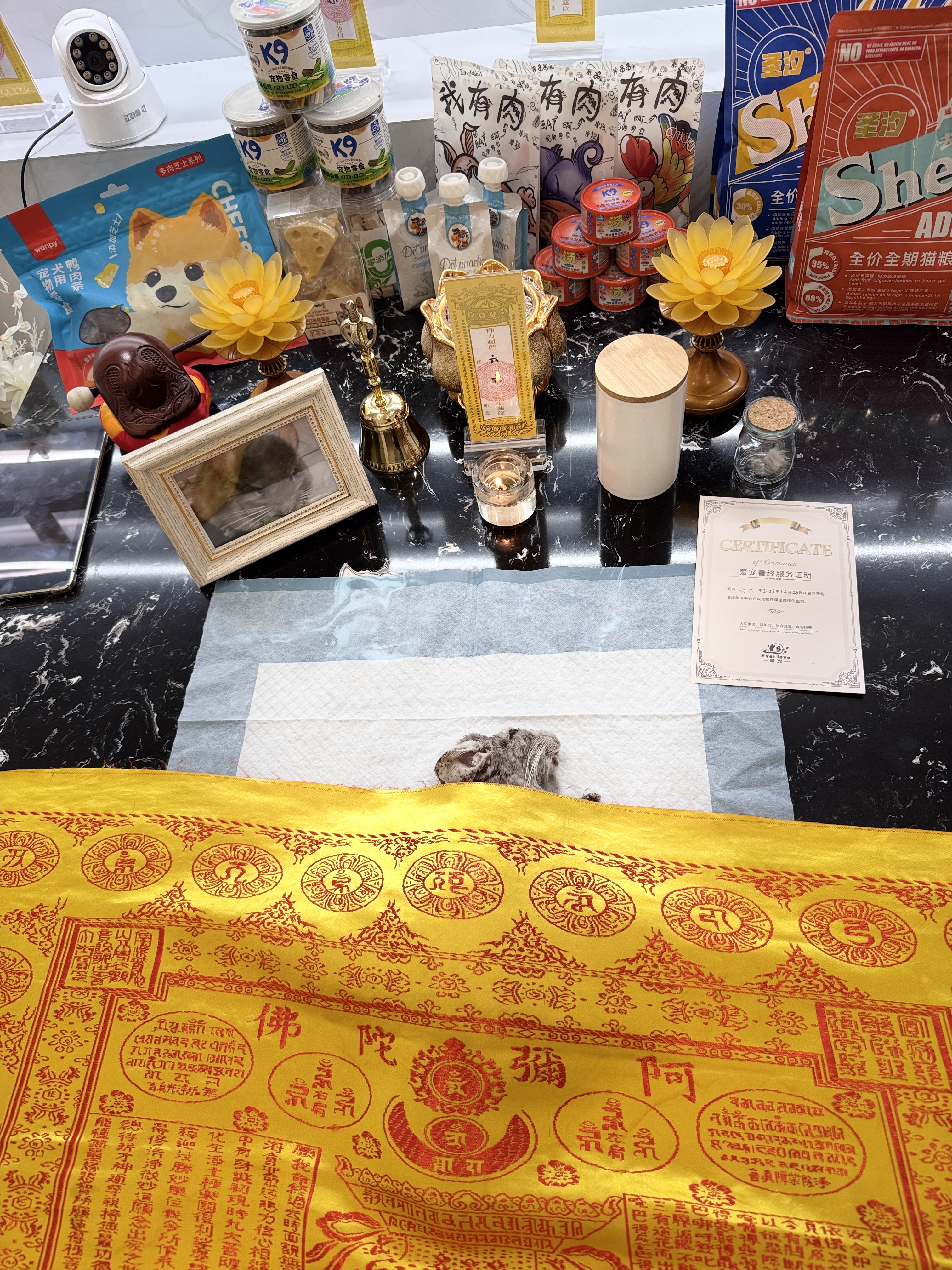 猫咪纪念品定制