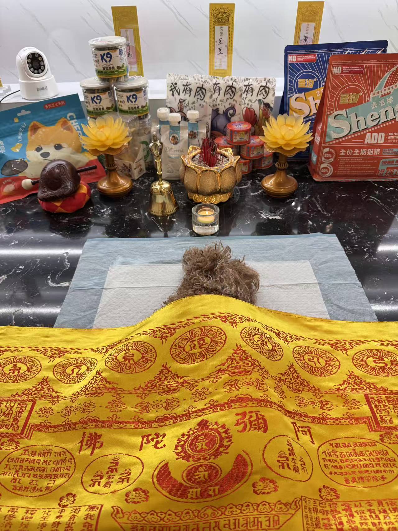 烟台狗狗火化