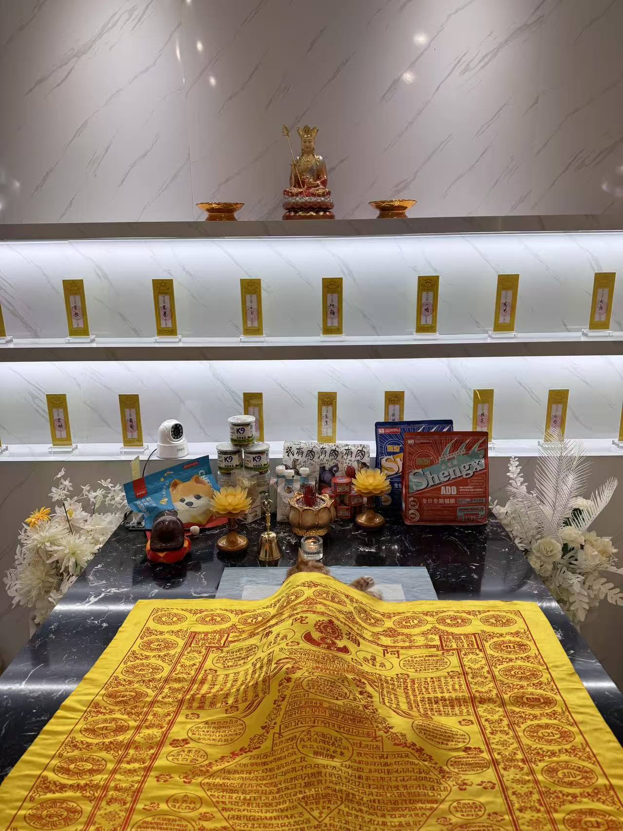 洛阳宠物火化