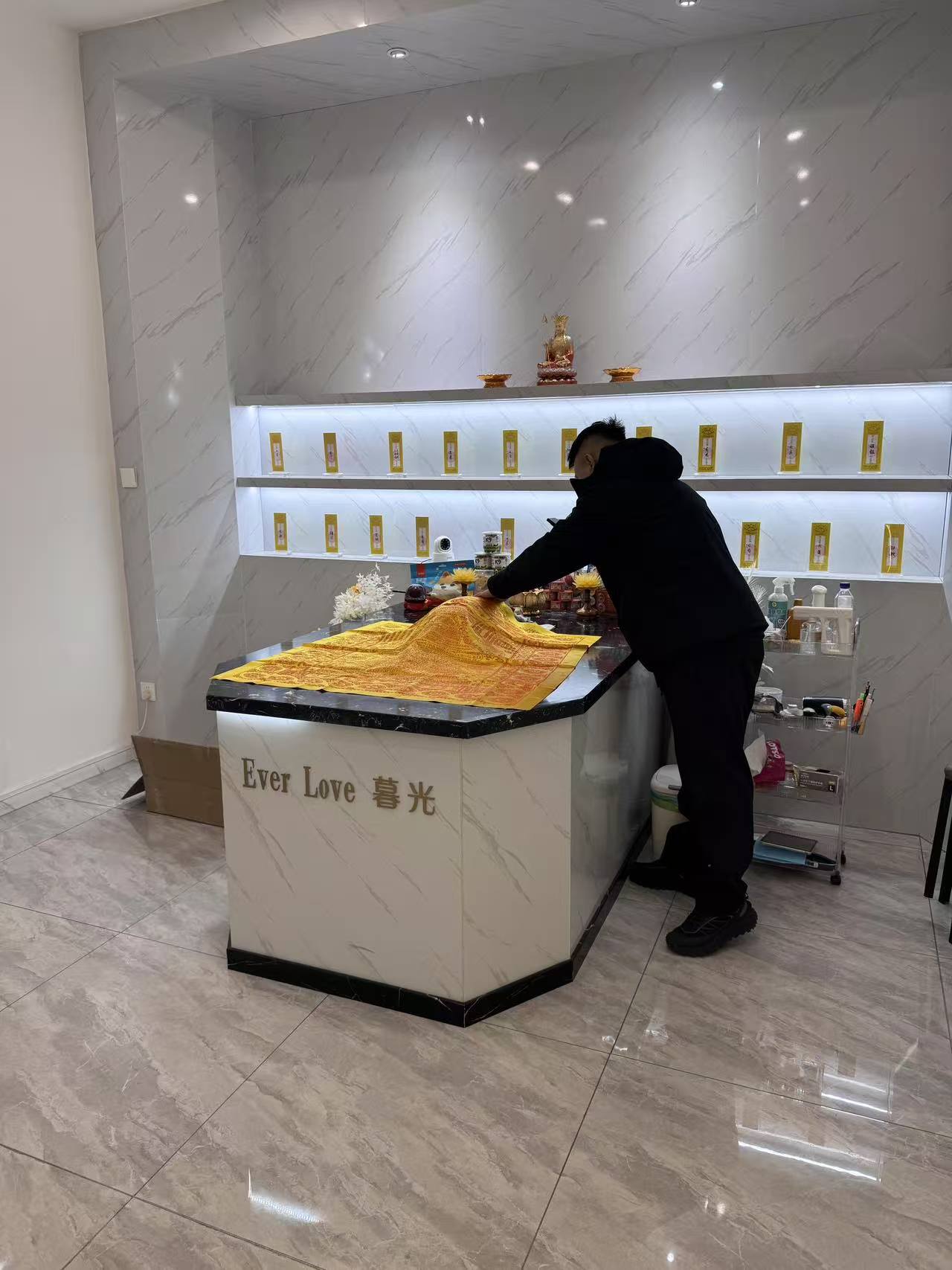 洛阳猫咪火化