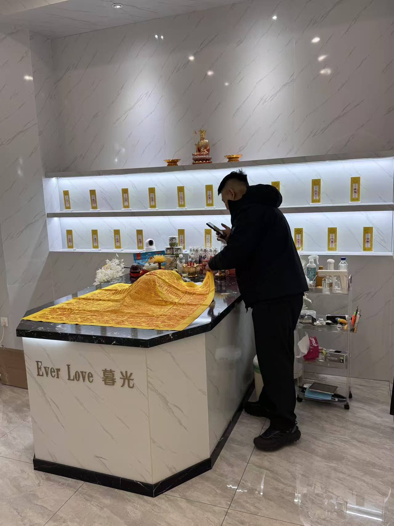 南京猫咪火化配图
