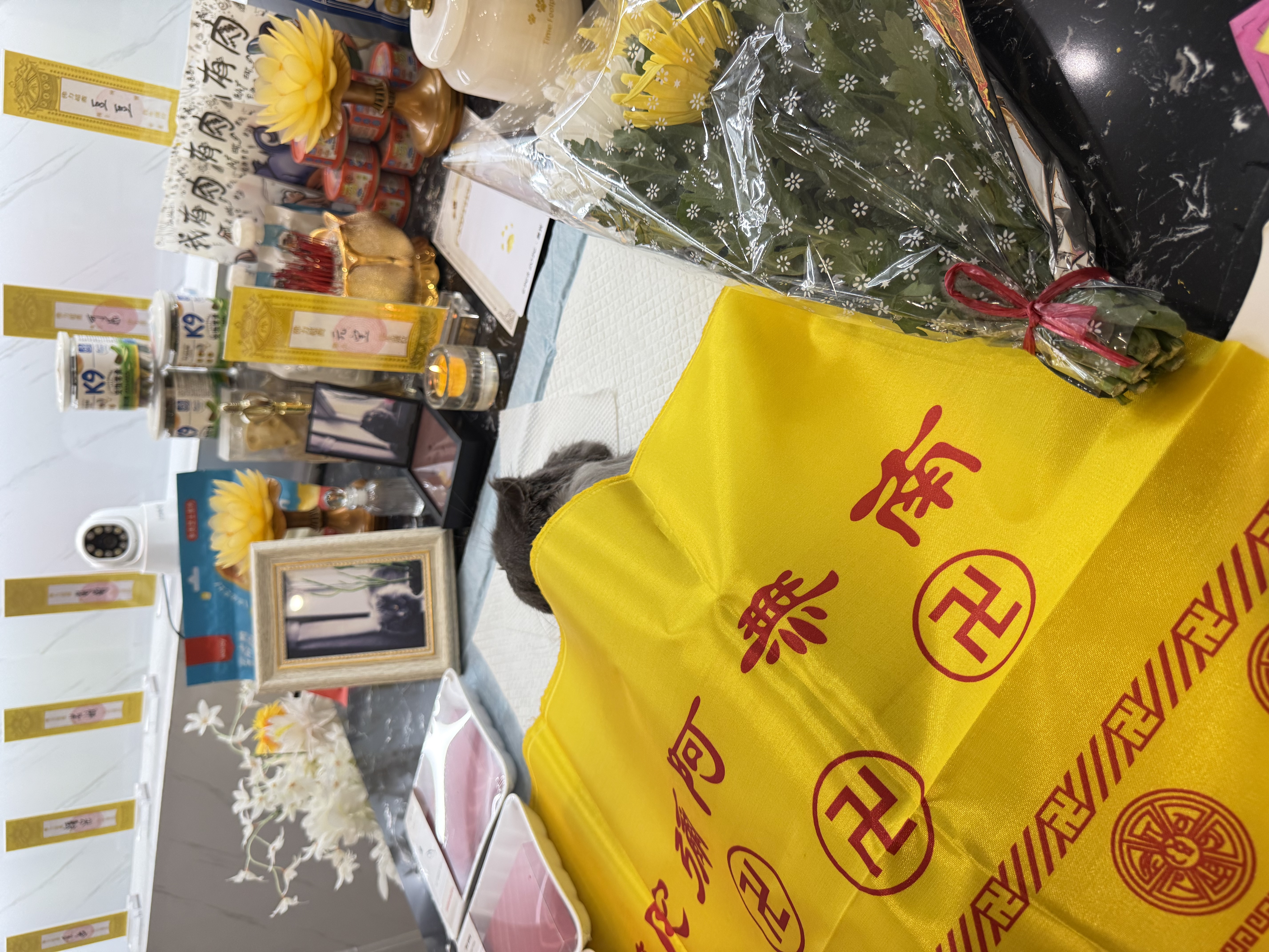 狗狗专炉火化