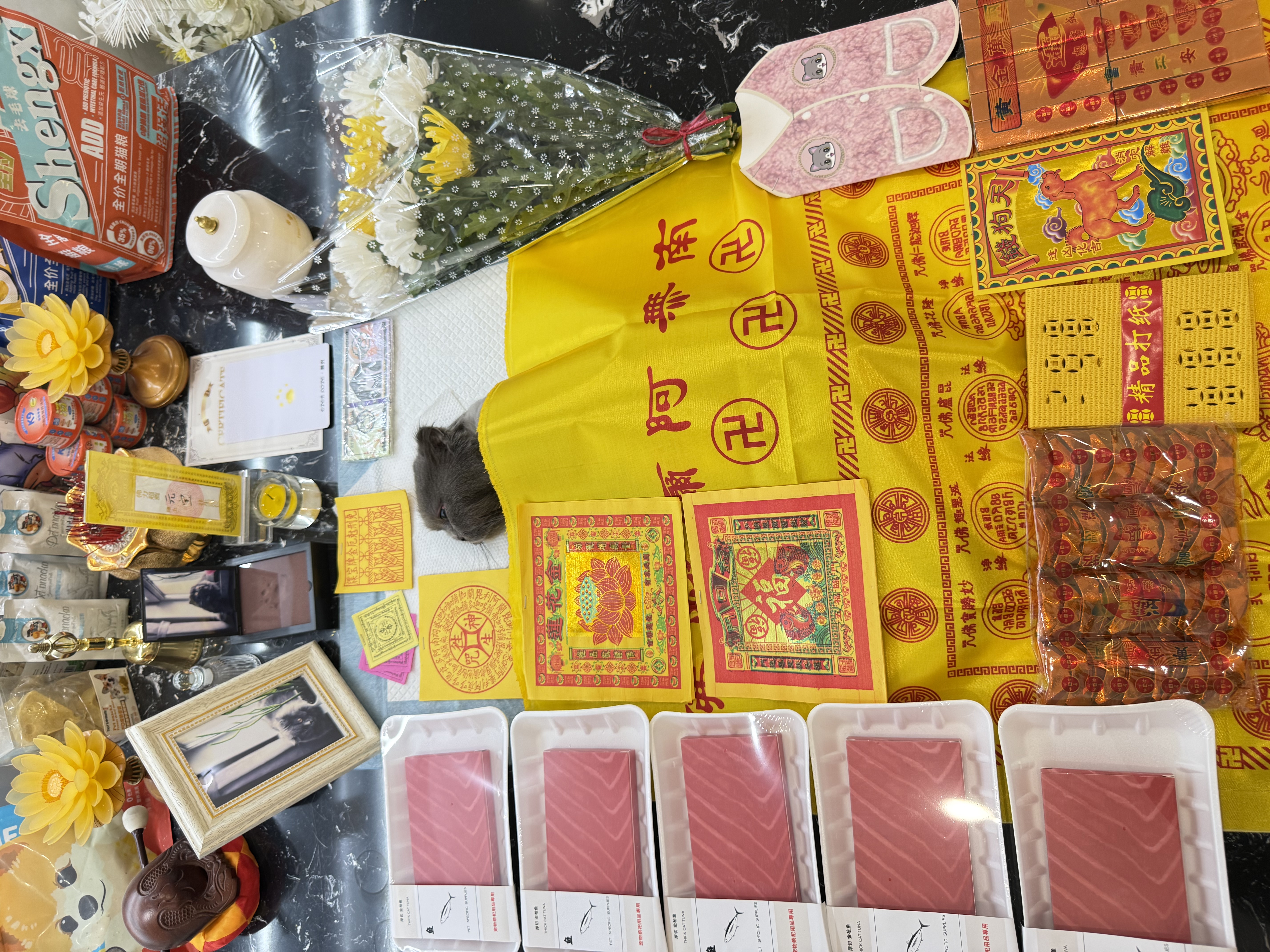 狗狗专炉火化配图